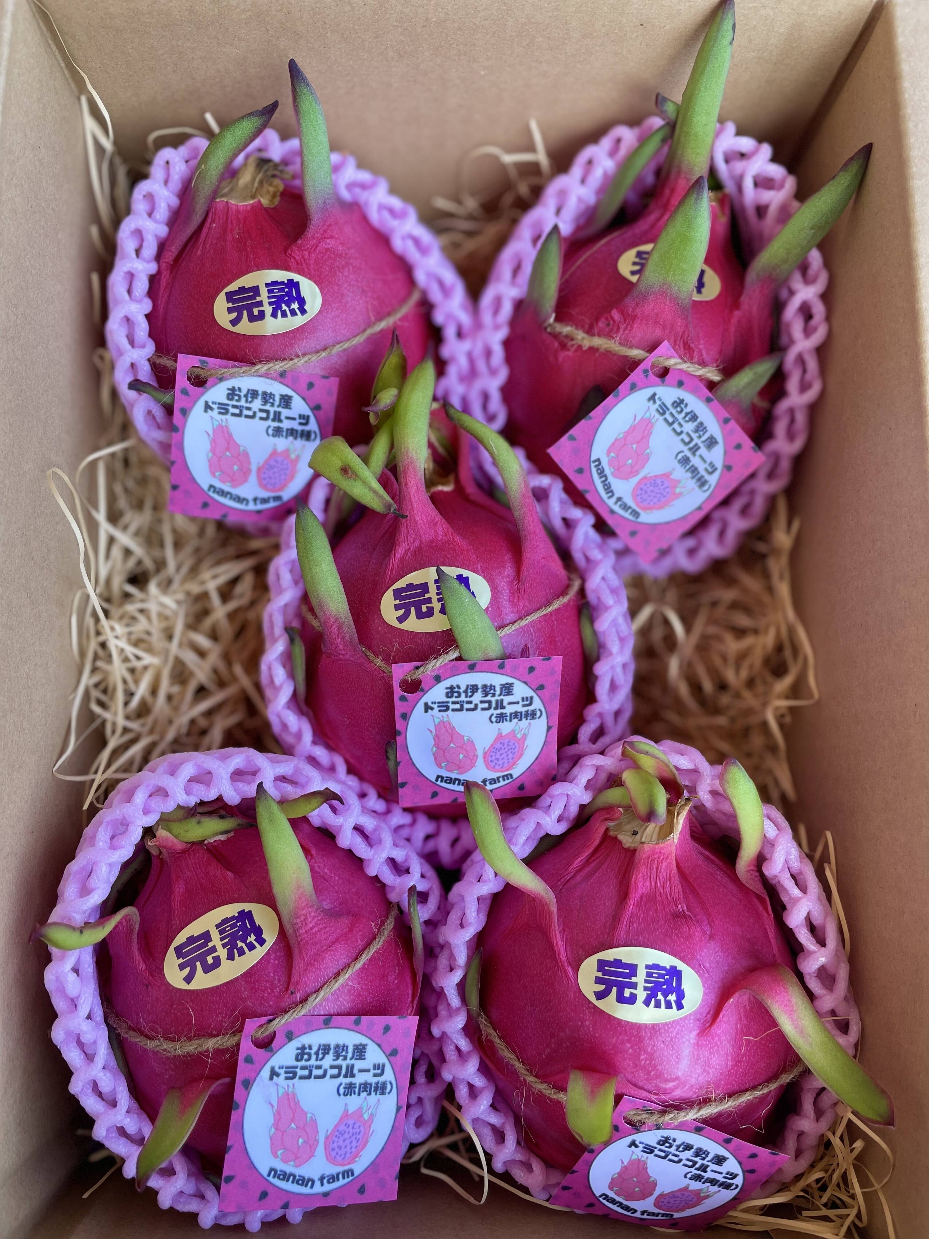 赤肉種&桃肉種-ダークスター)採れたて新鮮‼︎甘さしっかり‼︎ドラゴン