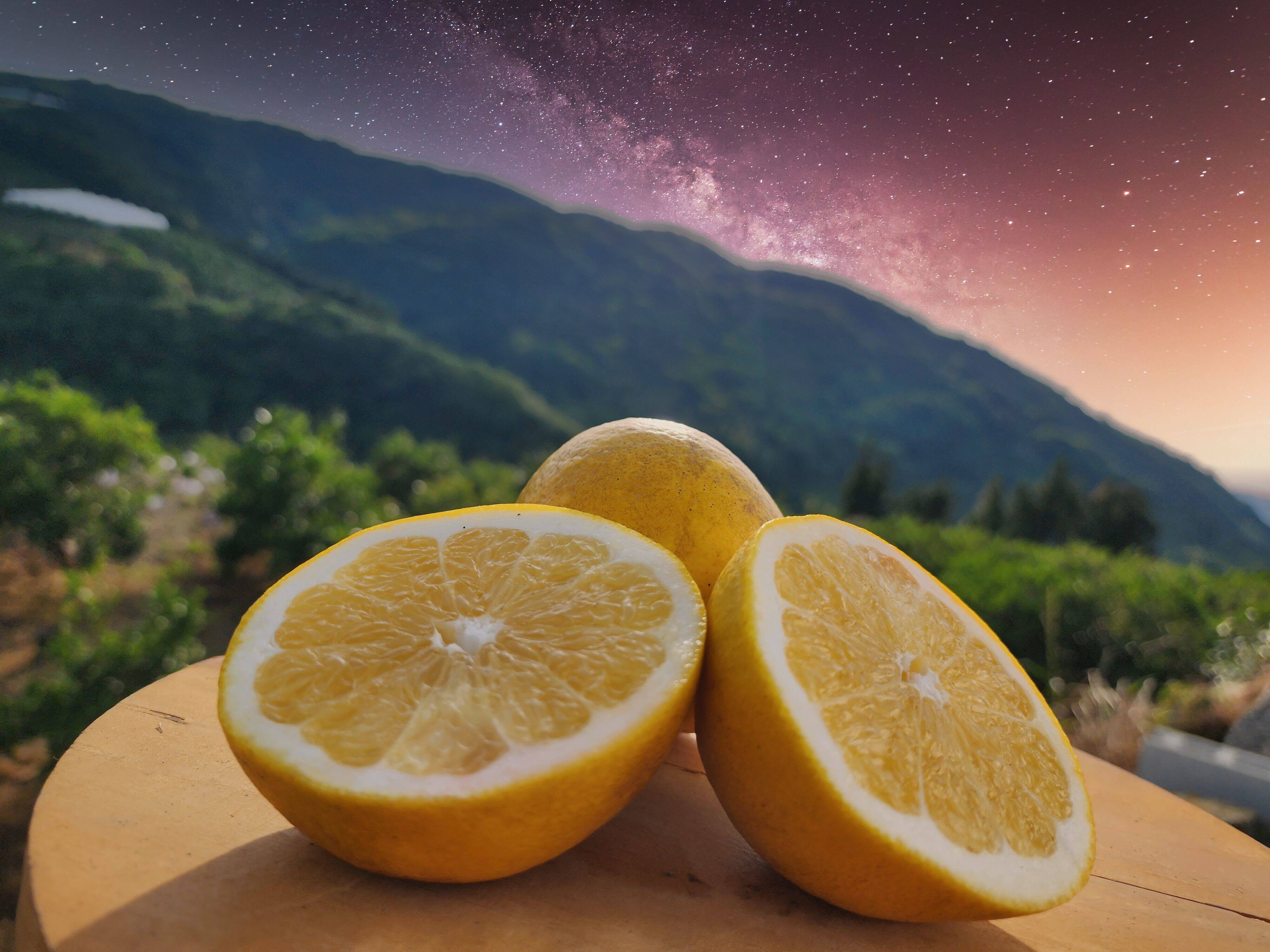 箱込約5㌔ 農家が買う河内晩柑 見た目より中身で勝負！！ 見た目に騙さ