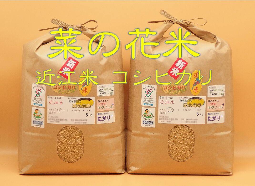 産地直送 有機肥料で育てたお米 ミルキークイーン（10キロ） 近江米