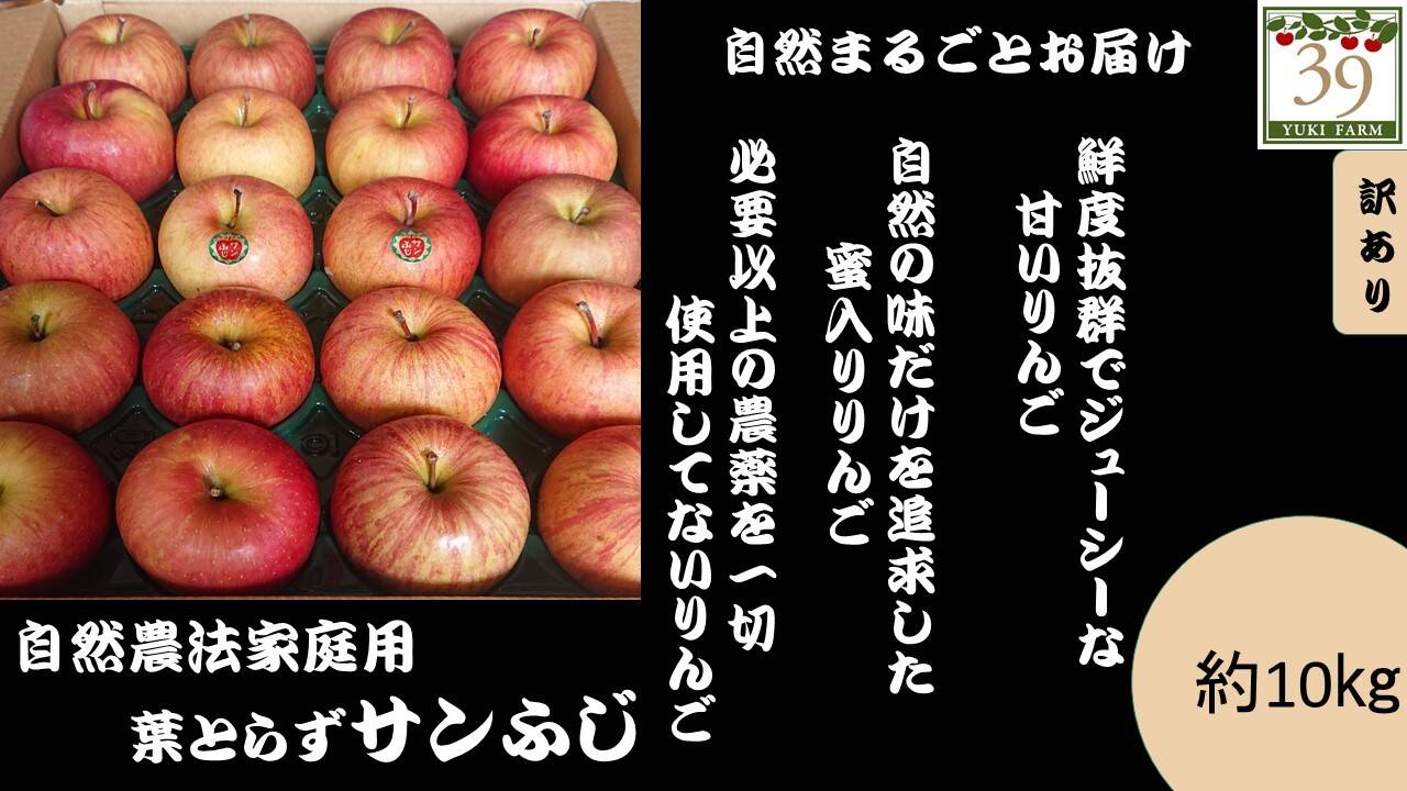 無農薬りんご サンフジ 青森県産 4kg 10-15個目安
