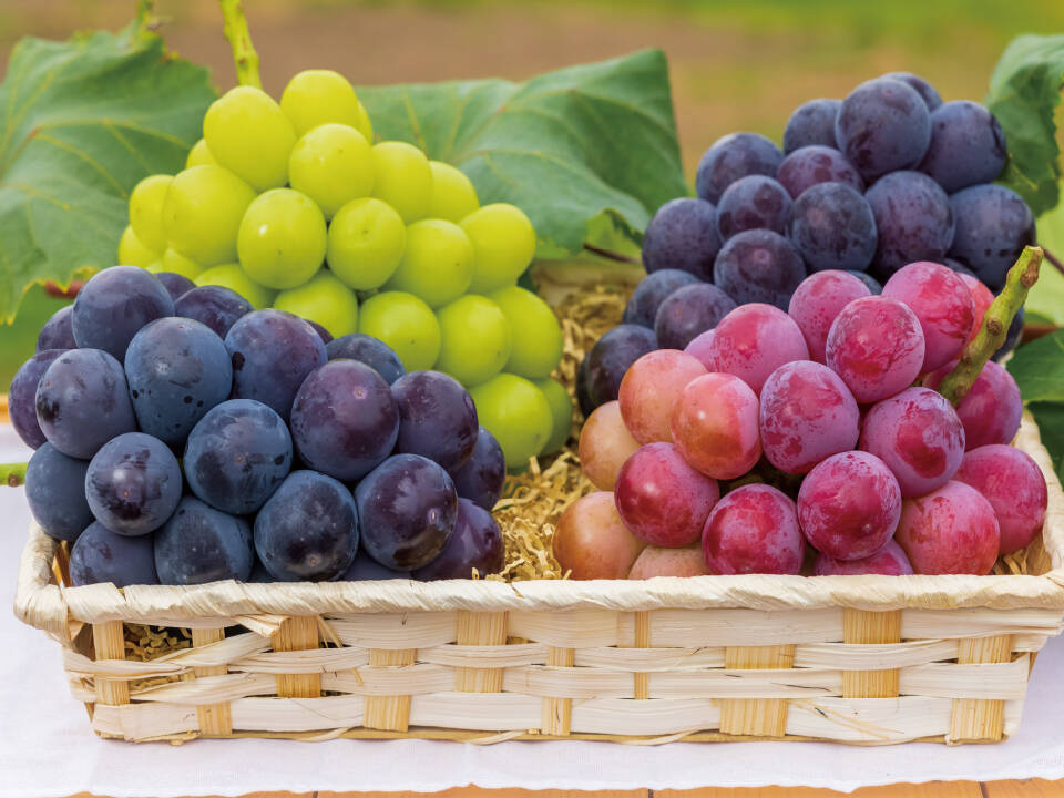 63b669d33774b573d7fd851b9f73b3