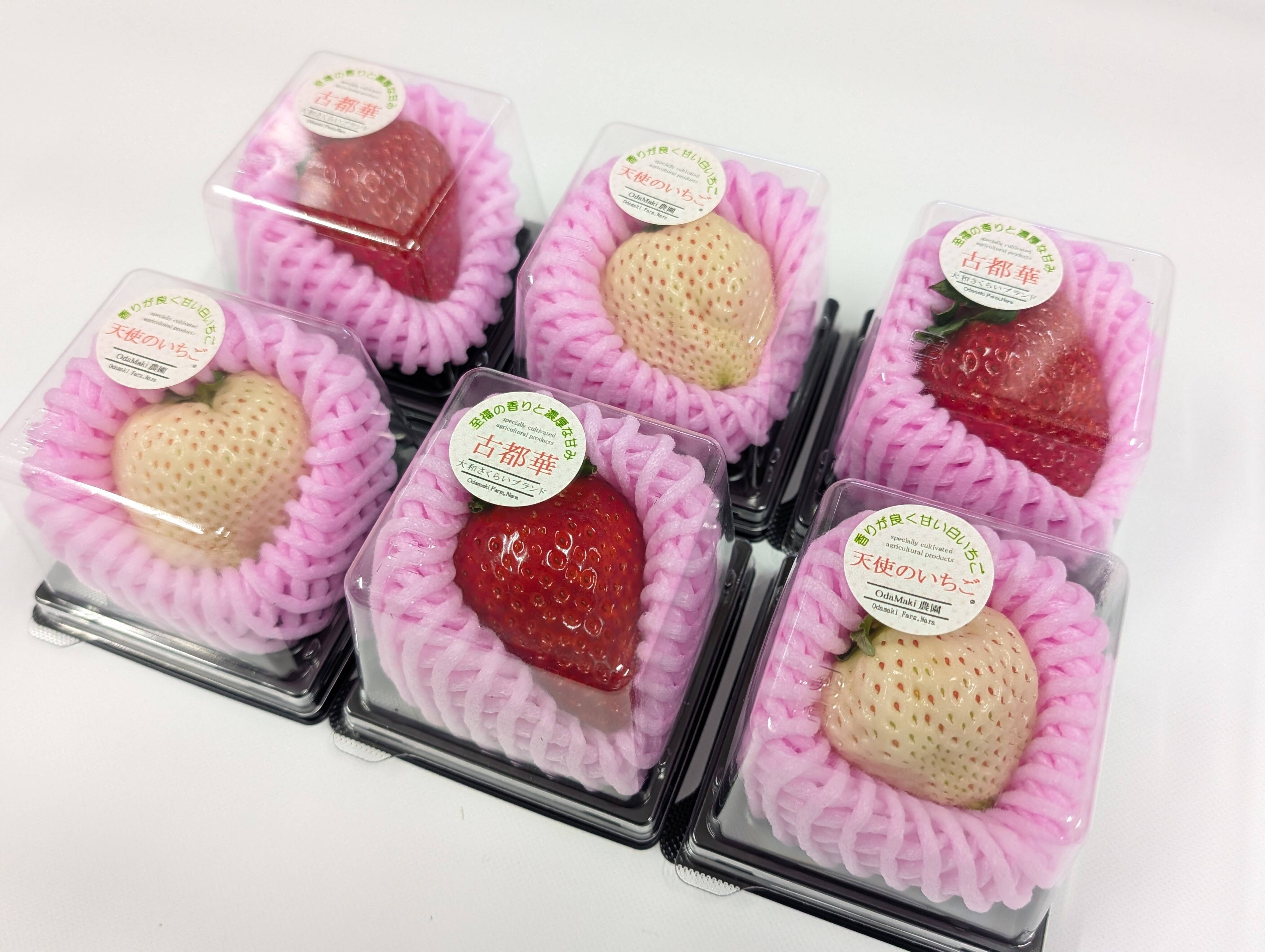 いちご様リクエスト名古屋限定ましかくフォト8枚 ひと粒の幸せ‼大粒紅白『古都華＆天使のいちご』特別栽培農産物 6個入1