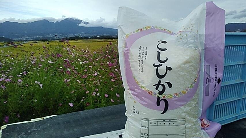 643411ed36dd4a00c5ea9a99a6b66a