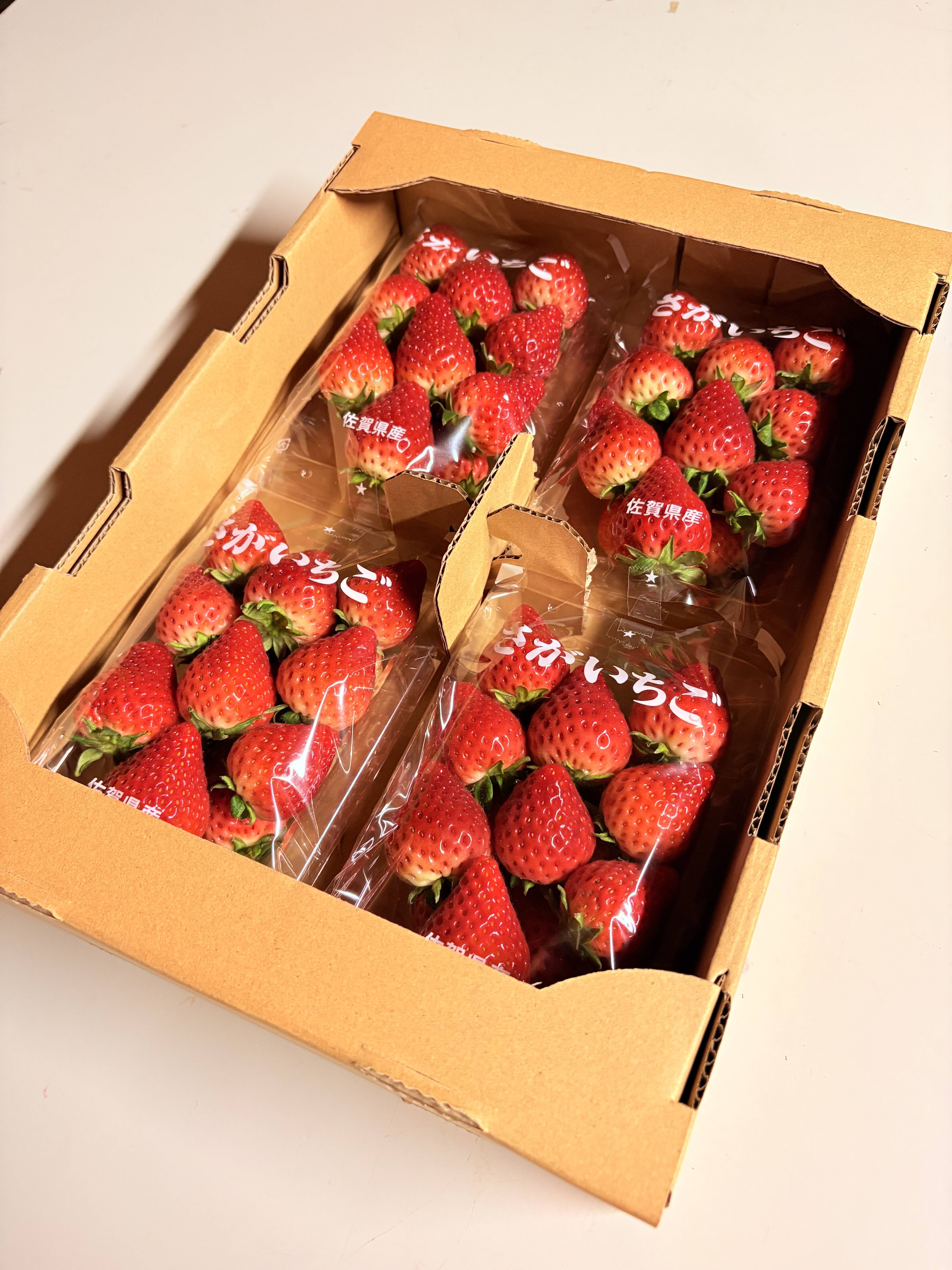 てぃあらふぁーむが届ける「いちごさん」4パック(ご家庭用・約1kg
