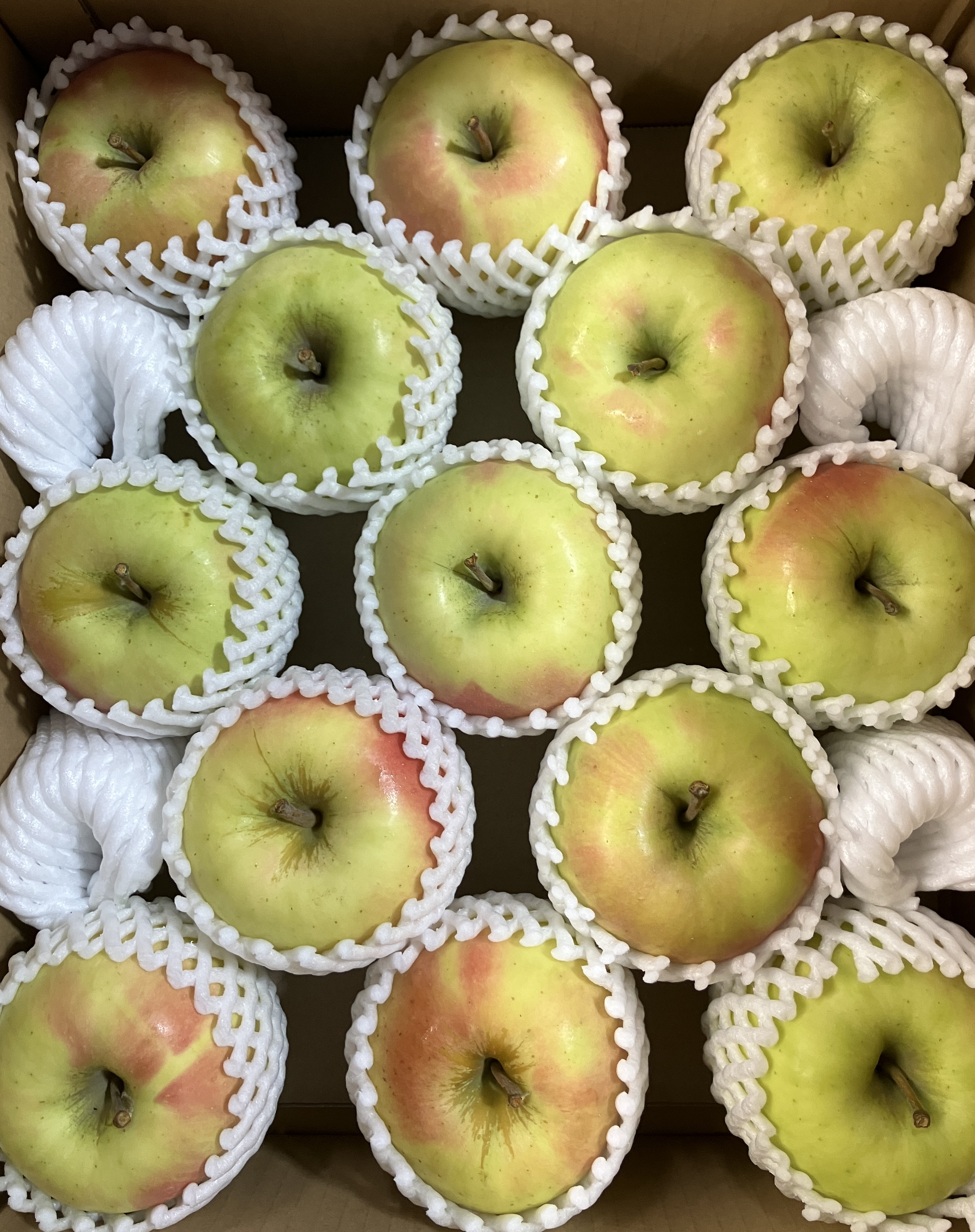 販売開始！贈答用】 青森県産りんご「ぐんま名月」 約5kg×2箱【光