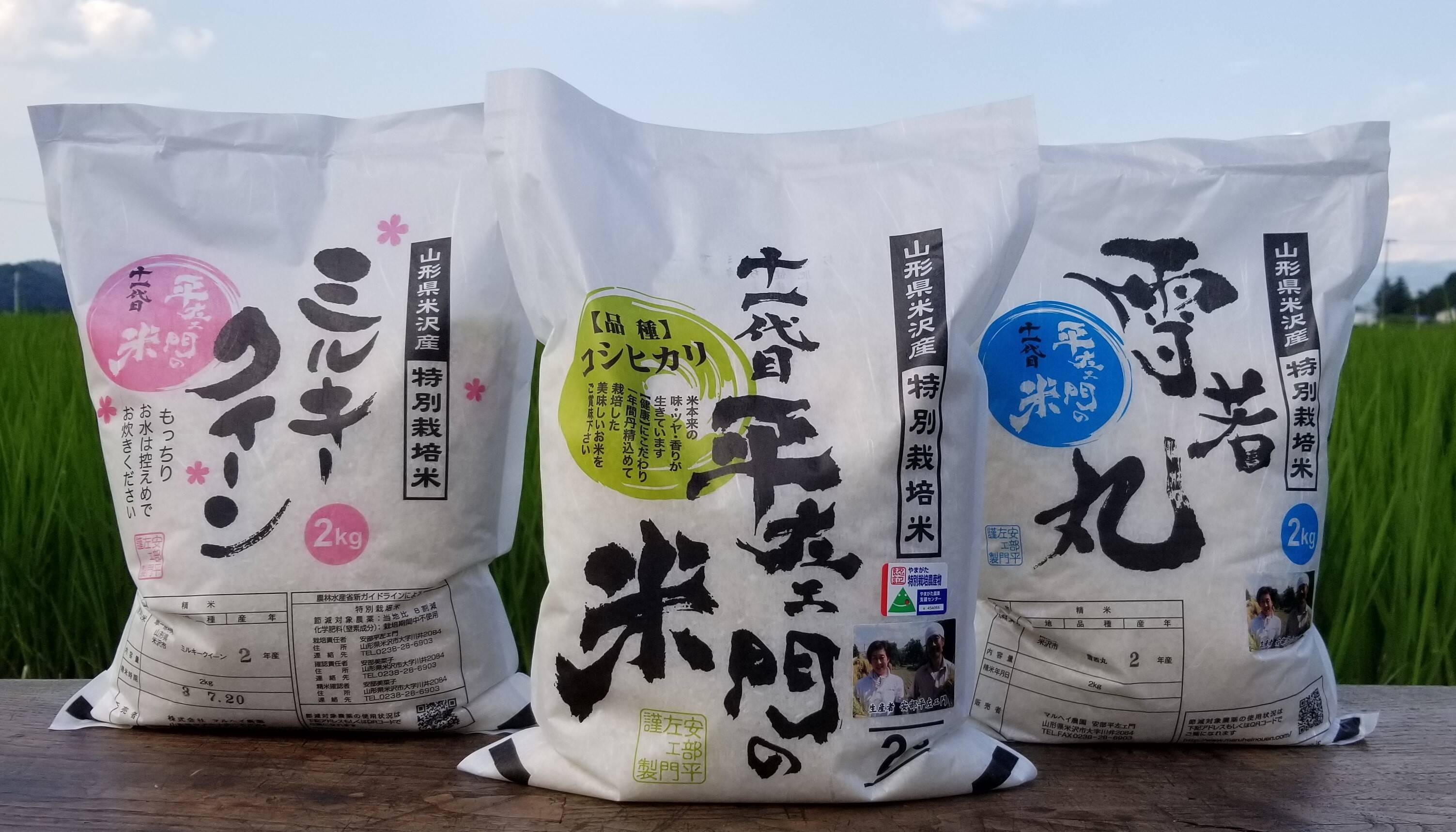 山形県産新米雪若丸4kg(2kg×2袋)白米 - 米