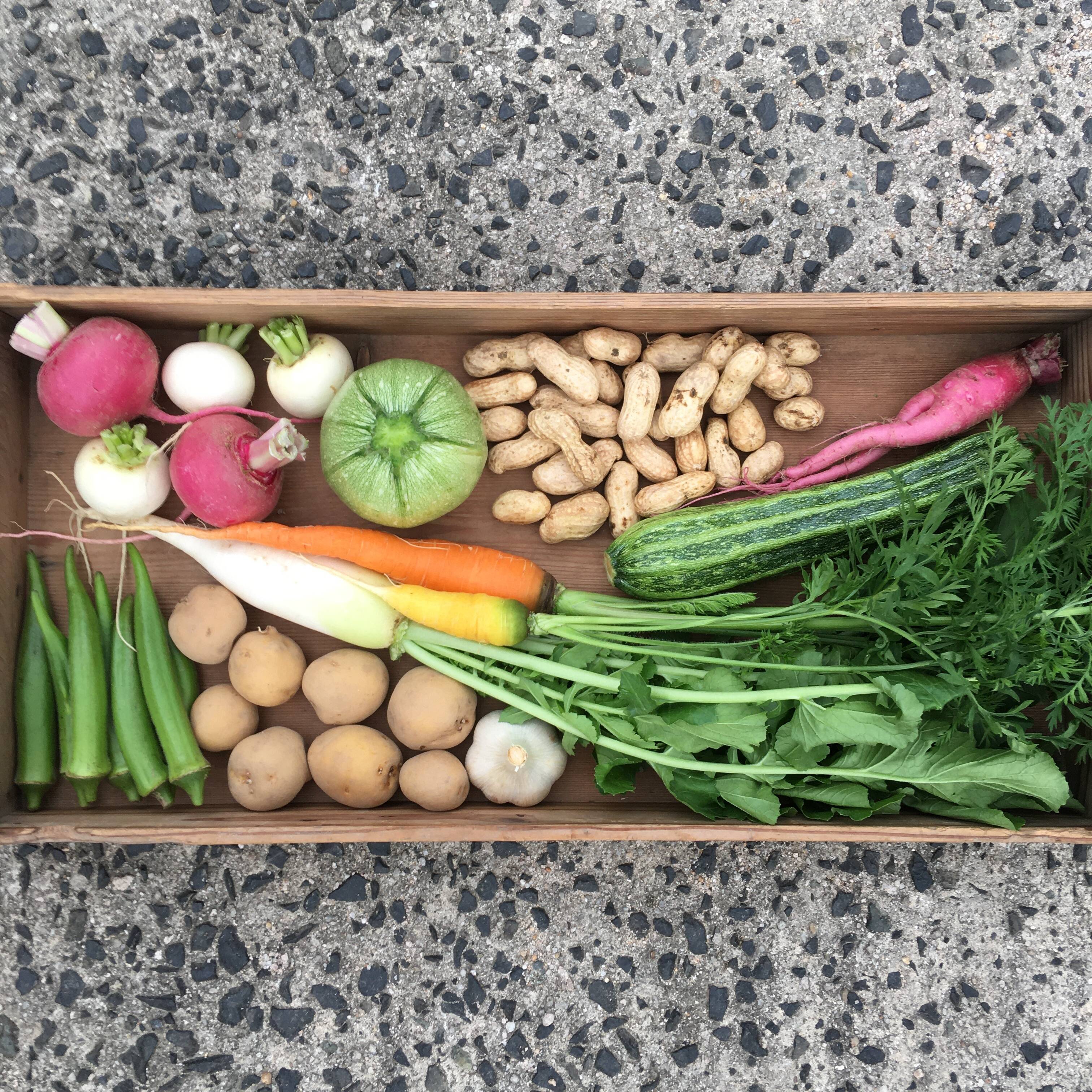 6504aedaba84e054064e02a235d8d2