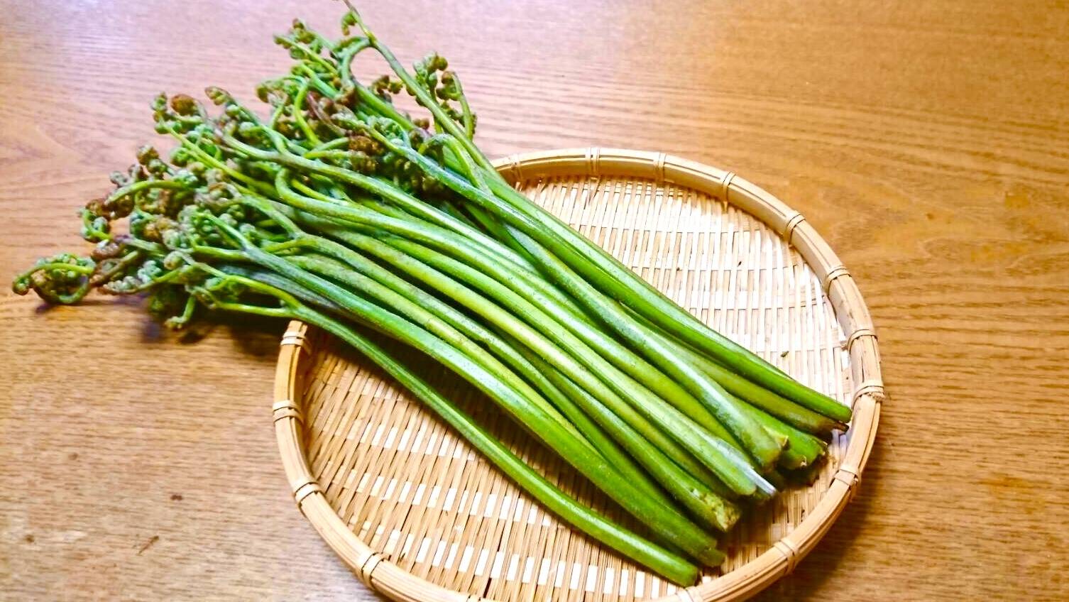 完売 天然＊野生【寒蕨/カンワラビ/冬の華蕨】山野草/3苗セット