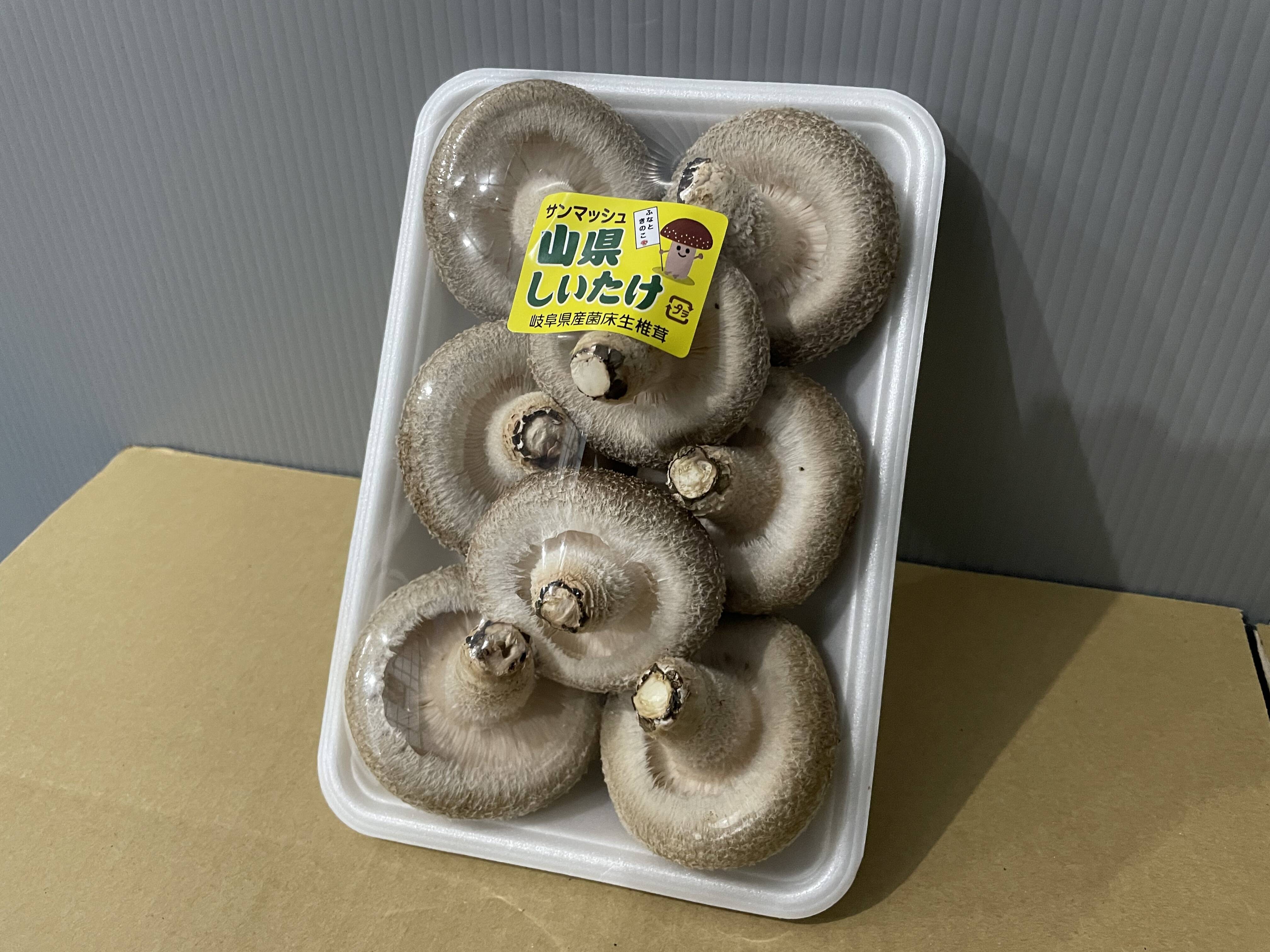 専用商品　チョク様 da7dcf6af0297f02e069ce3fc58a2e