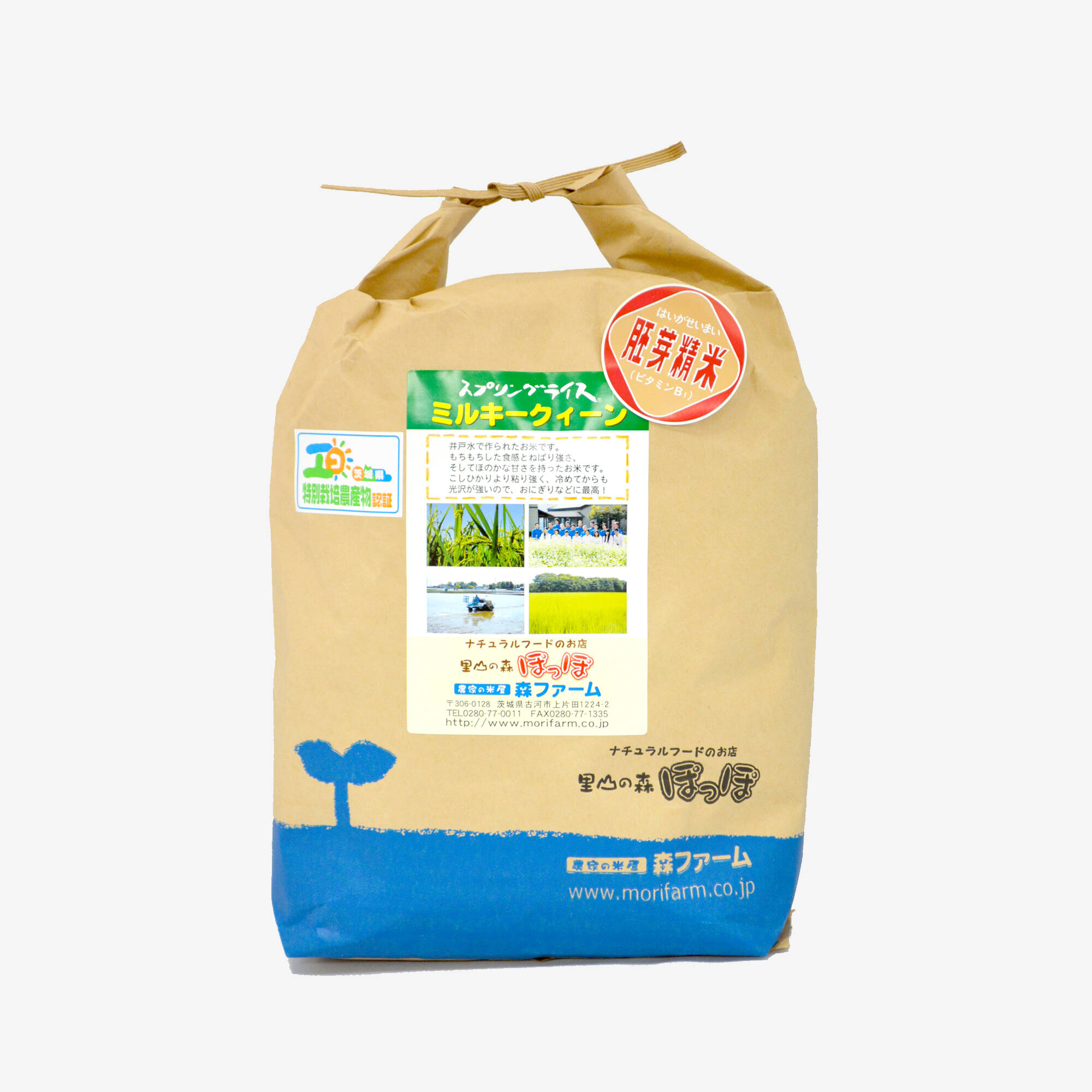送料無料 蛇紋岩 特別栽培米 八木川米 2023 令和5年産 令和五年産 新米