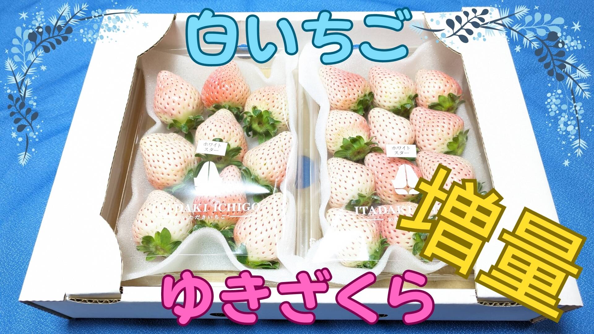 【白苺】4点まとめ売り 増量】希少な白いちご「ゆきざくら」（ホワイトスター）約260g×4