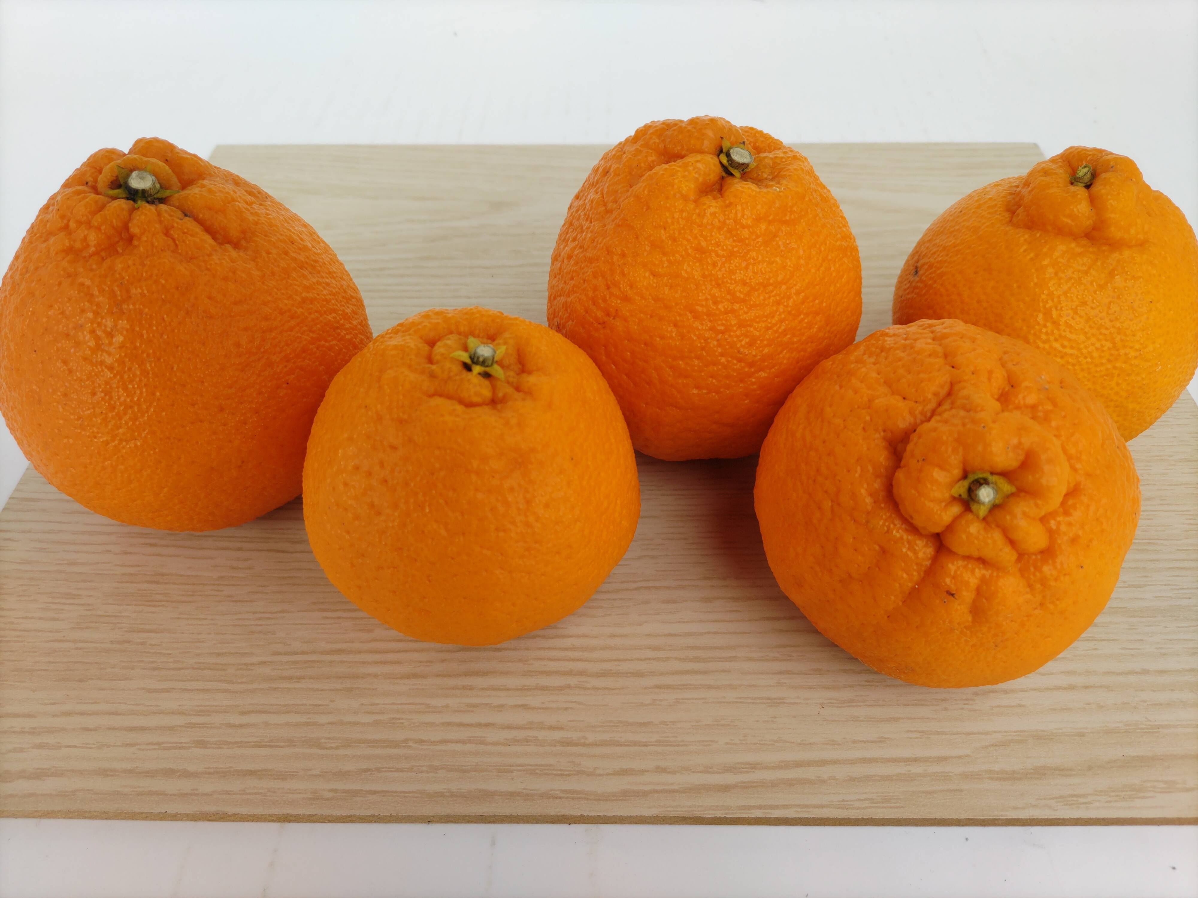 濃厚な味！完熟不知火！「約5キロ」：和歌山県産のみかん・柑橘類