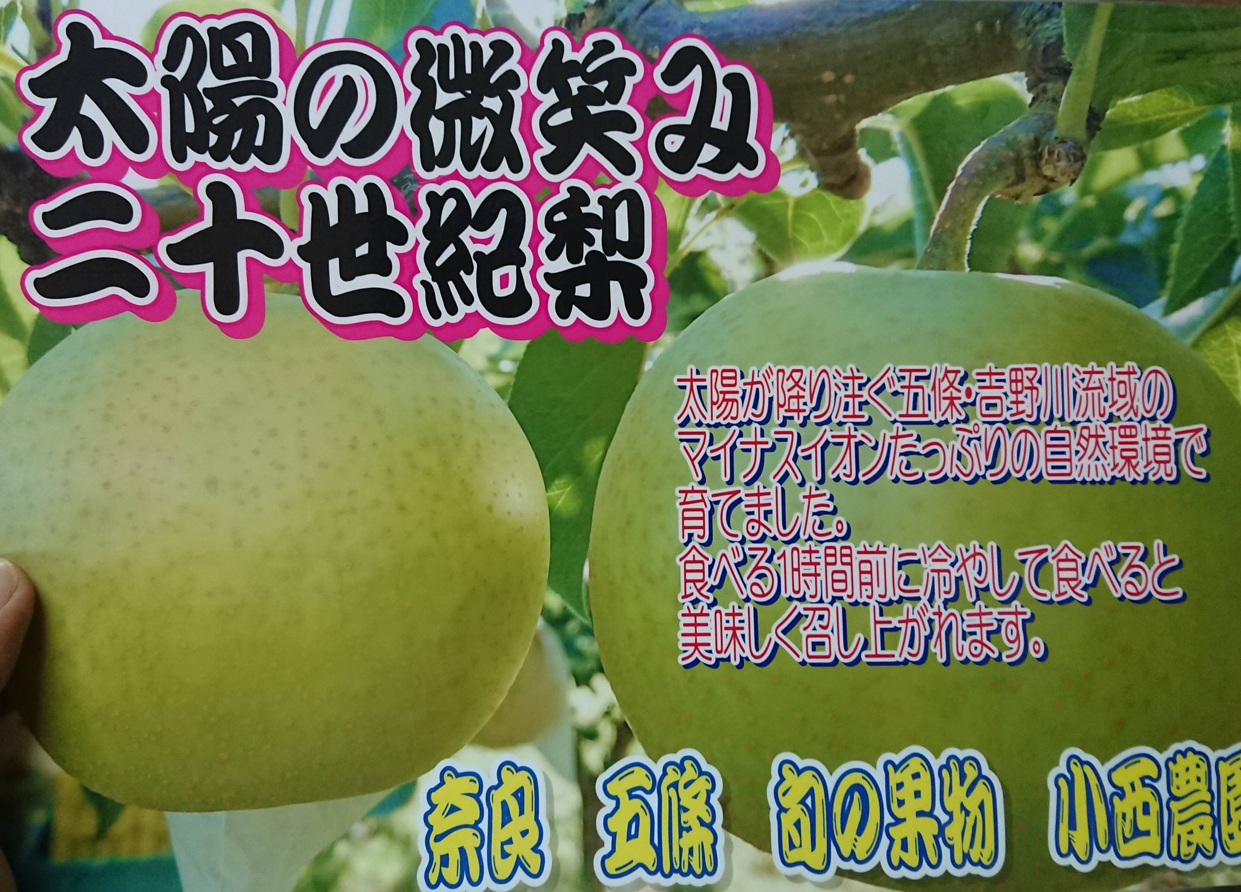 秋の味覚！20世紀梨（8〜9玉入）：奈良県産の二十世紀梨｜食べチョク