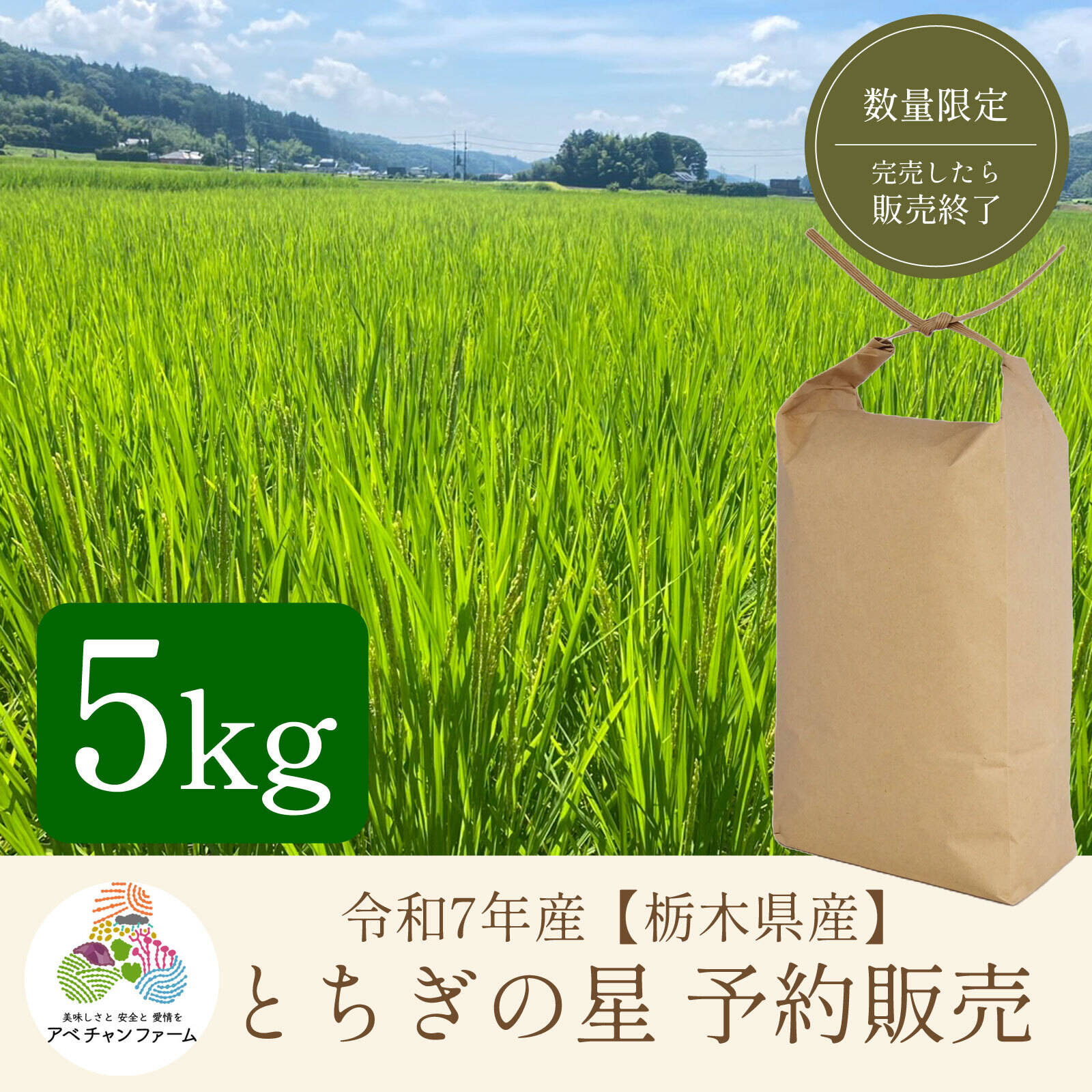 令和4年産“無洗米“とちぎの星”大嘗祭献上米20kg お米食味ランキング獲得 令和4年産“無洗米“とちぎの星”大嘗祭献上米20kg お米食味