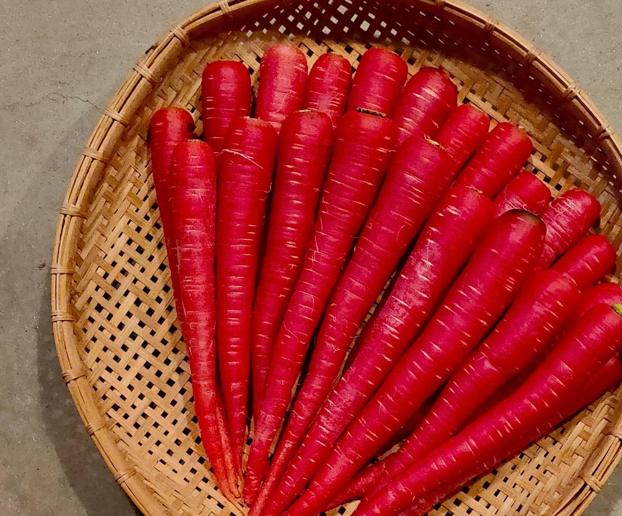 今週末まで‼️農薬不使用 金時にんじん1キロ① - 野菜