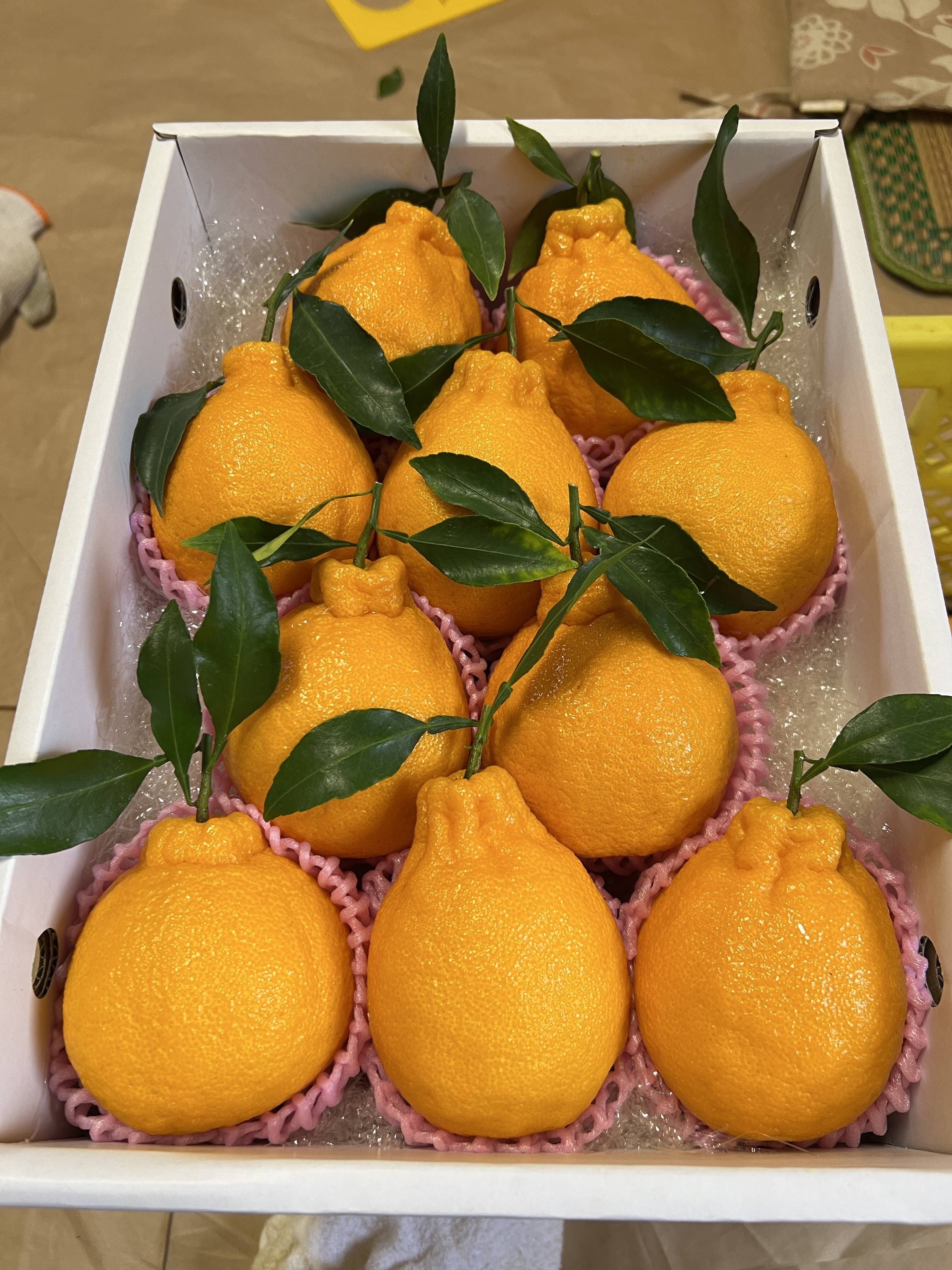 66af43b22b2bd2331ca850c22d587d