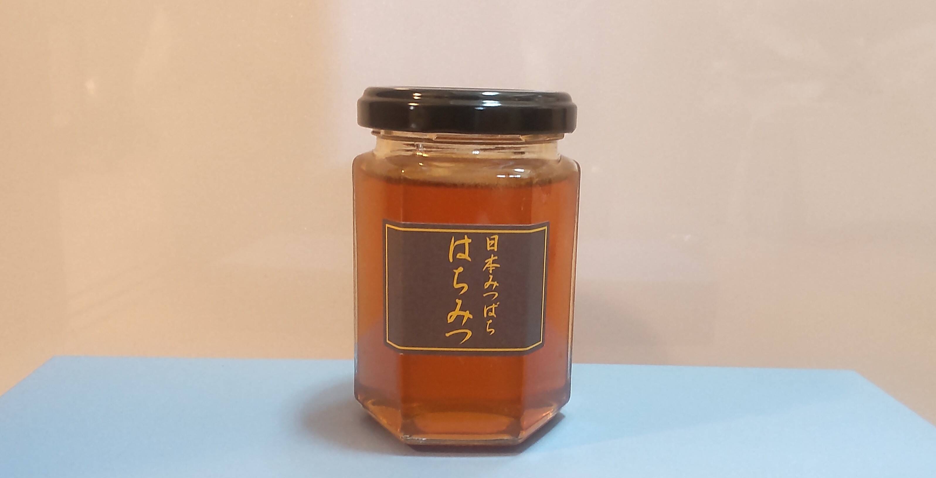 日本みつばちの巣蜜 165ｇ 激安通販 - その他