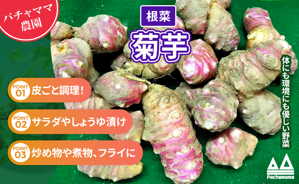 菊芋　20kg 秋田県産オーガニック菊芋【20kg】 ｜ 野菜/その他野菜 産直アウル