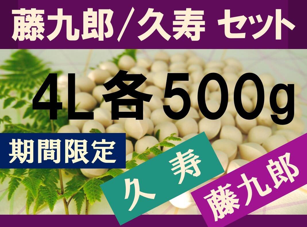 ☆久寿 藤九郎 銀杏 各500g 食べ比べセット 限定30セット ☆ 2023年新