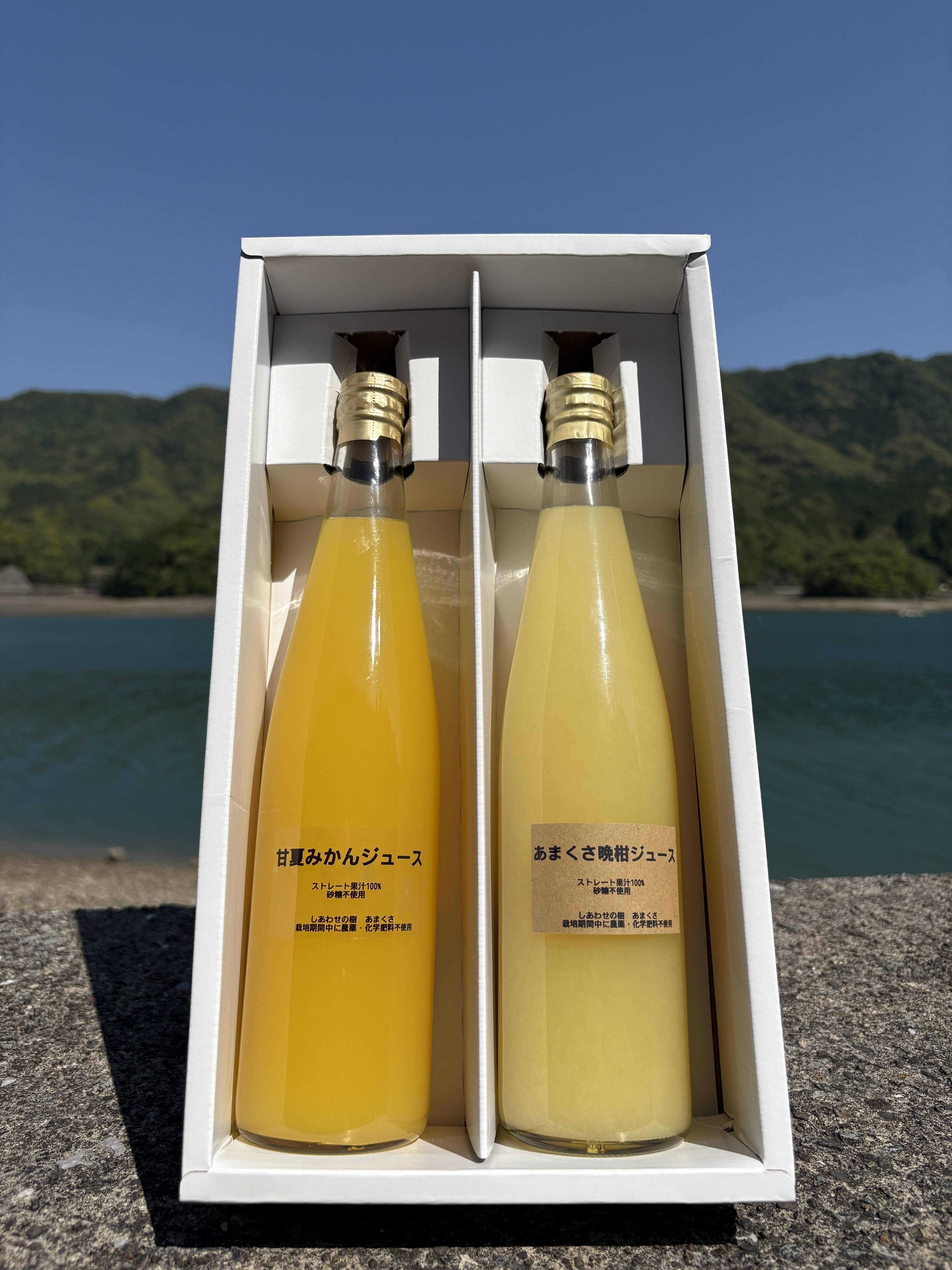 夏ギフト】甘夏みかんジュースと河内晩柑ジュース 果汁100%：熊本県産