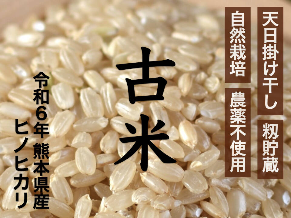 農薬不使用 天日掛け干し 玄米10kg 令和6年産 古米(ふるまい)：熊本県