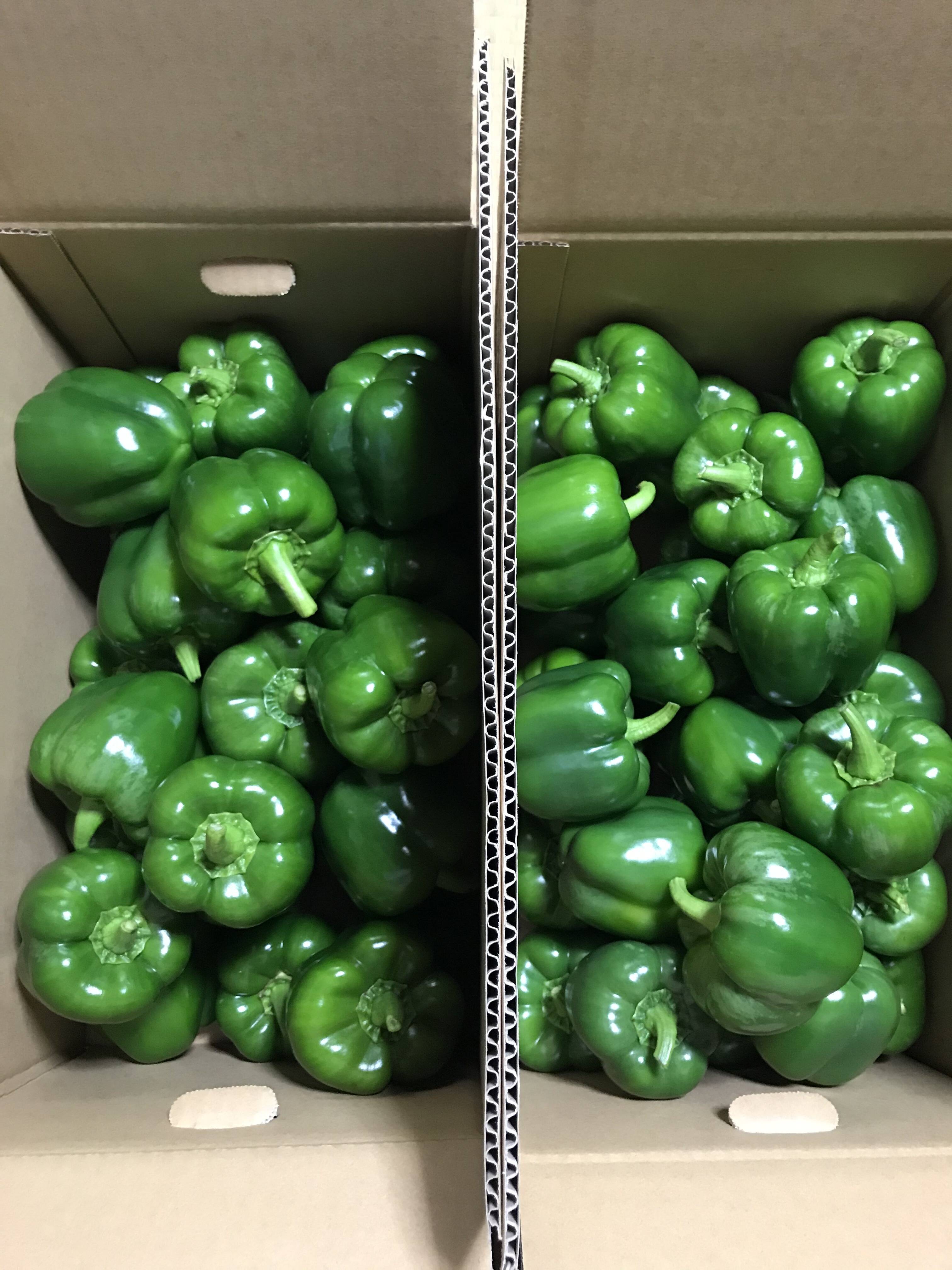 山形県産パプリカ緑（ジャンボピーマン）10kg：山形県産のその他