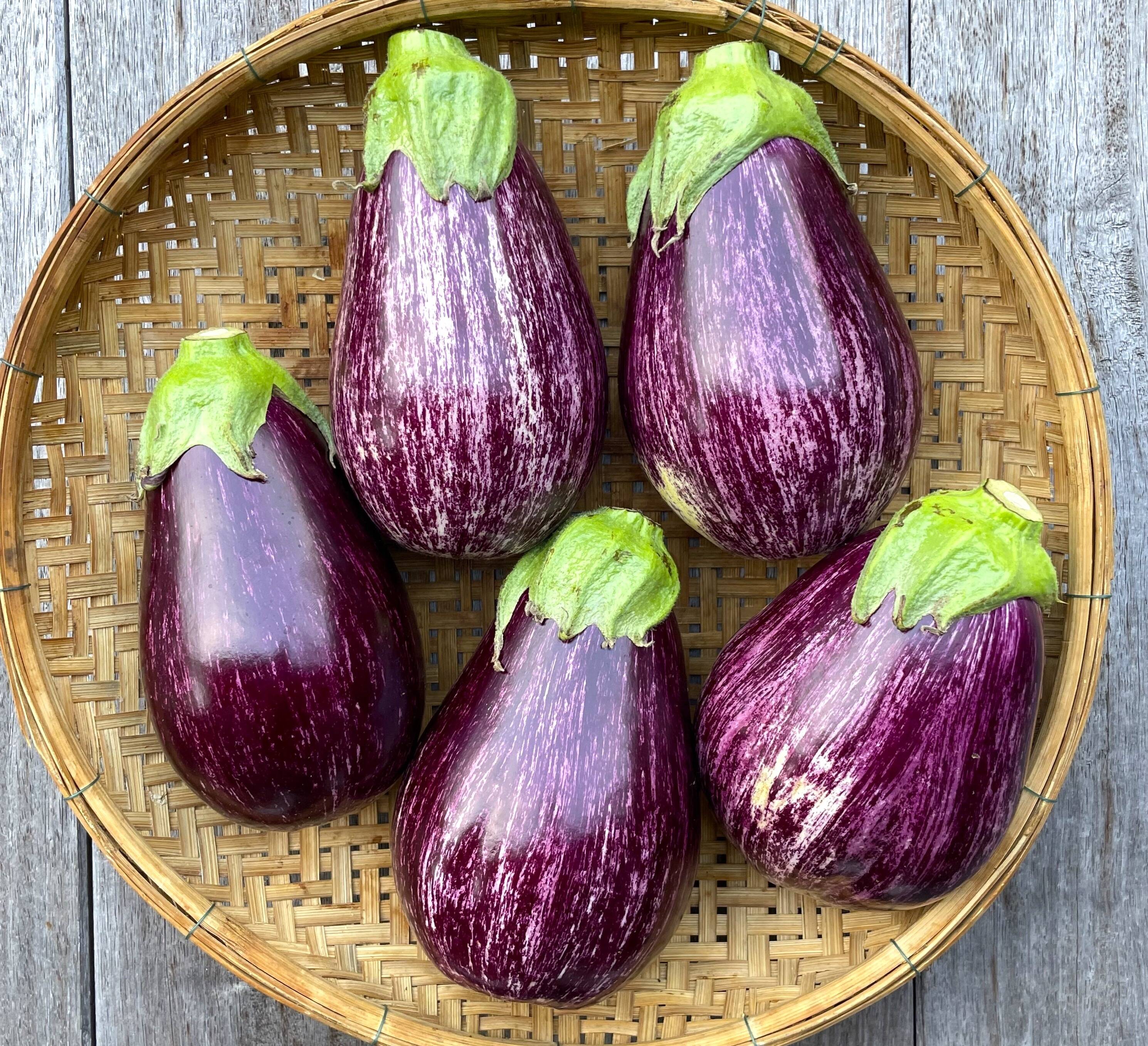 675cd441c177742a0a67a2dfc4eac0