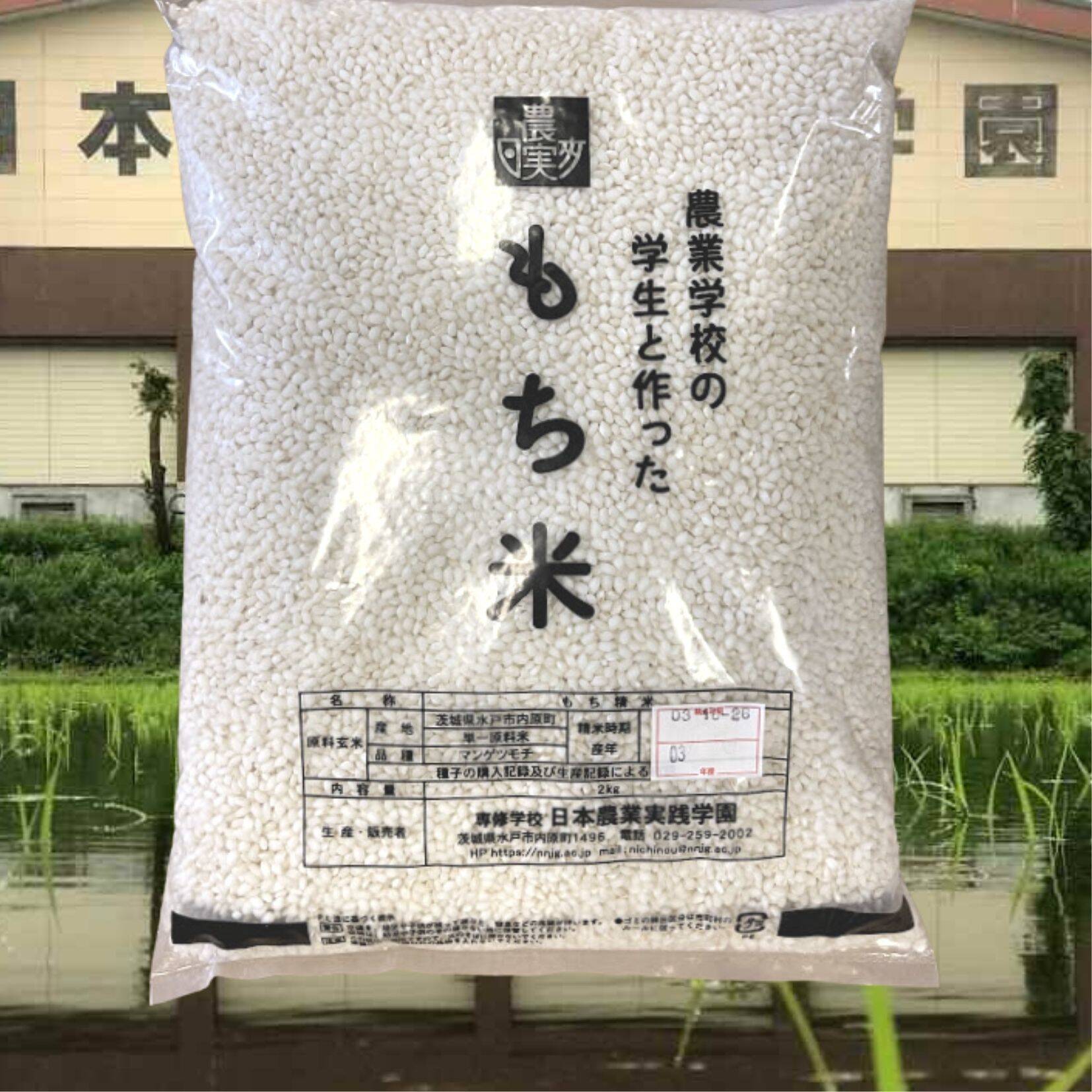 もち米5kg マンゲツモチ令和5年度産 茨城県産 農家直送 - 米