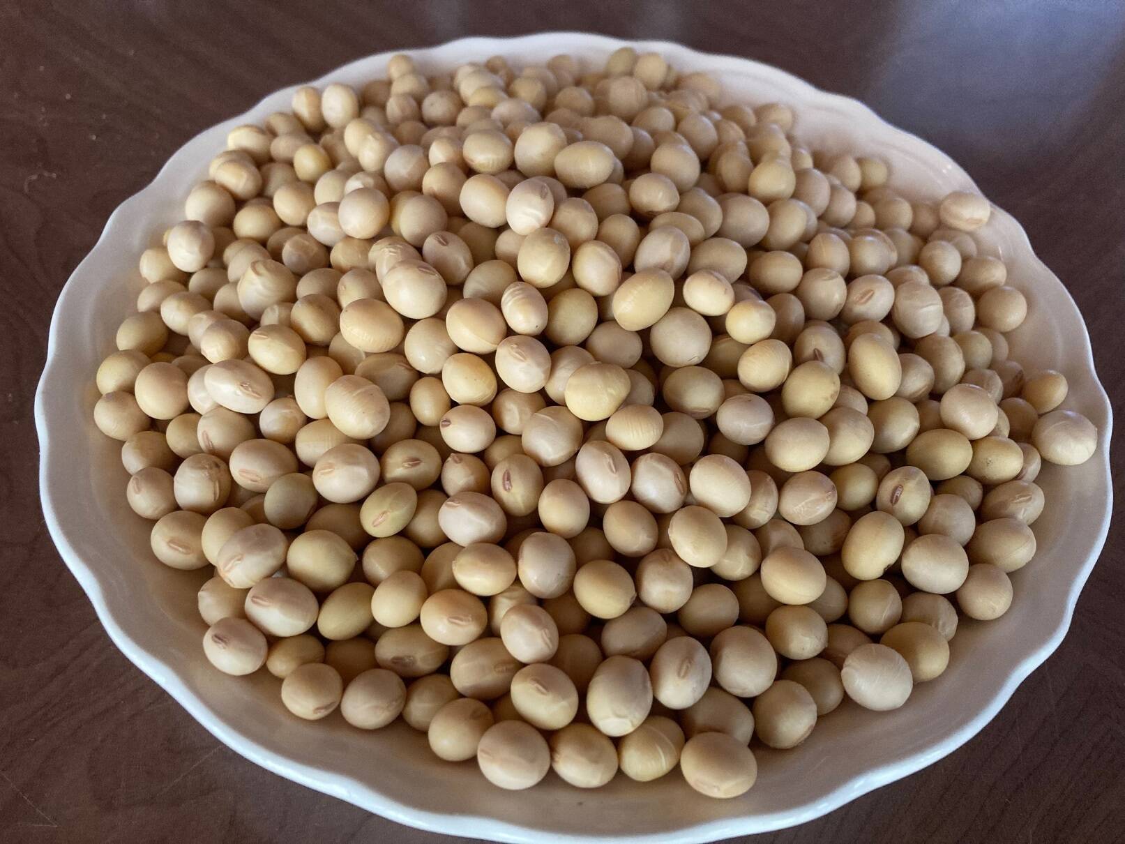 自然栽培】大豆（もち大豆）4.5kg 農薬不使用・無肥料栽培 自然乾燥