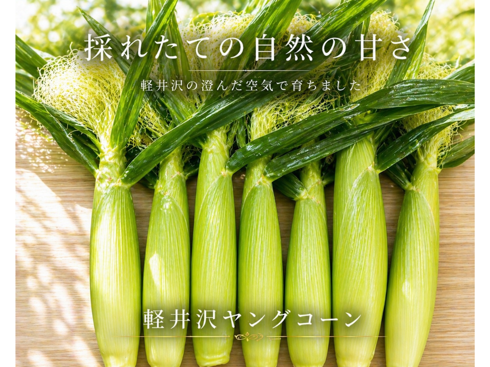 予約販売】軽井沢で採れたての自然の甘さヤングコーン20本入：長野県産