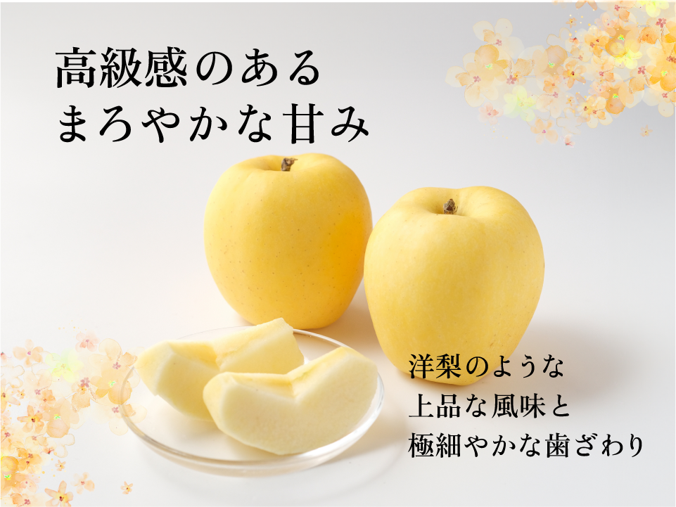 幻の林檎】はるか 10キロ箱 訳あり品 22〜56玉サイズ 赤いサビ多いです