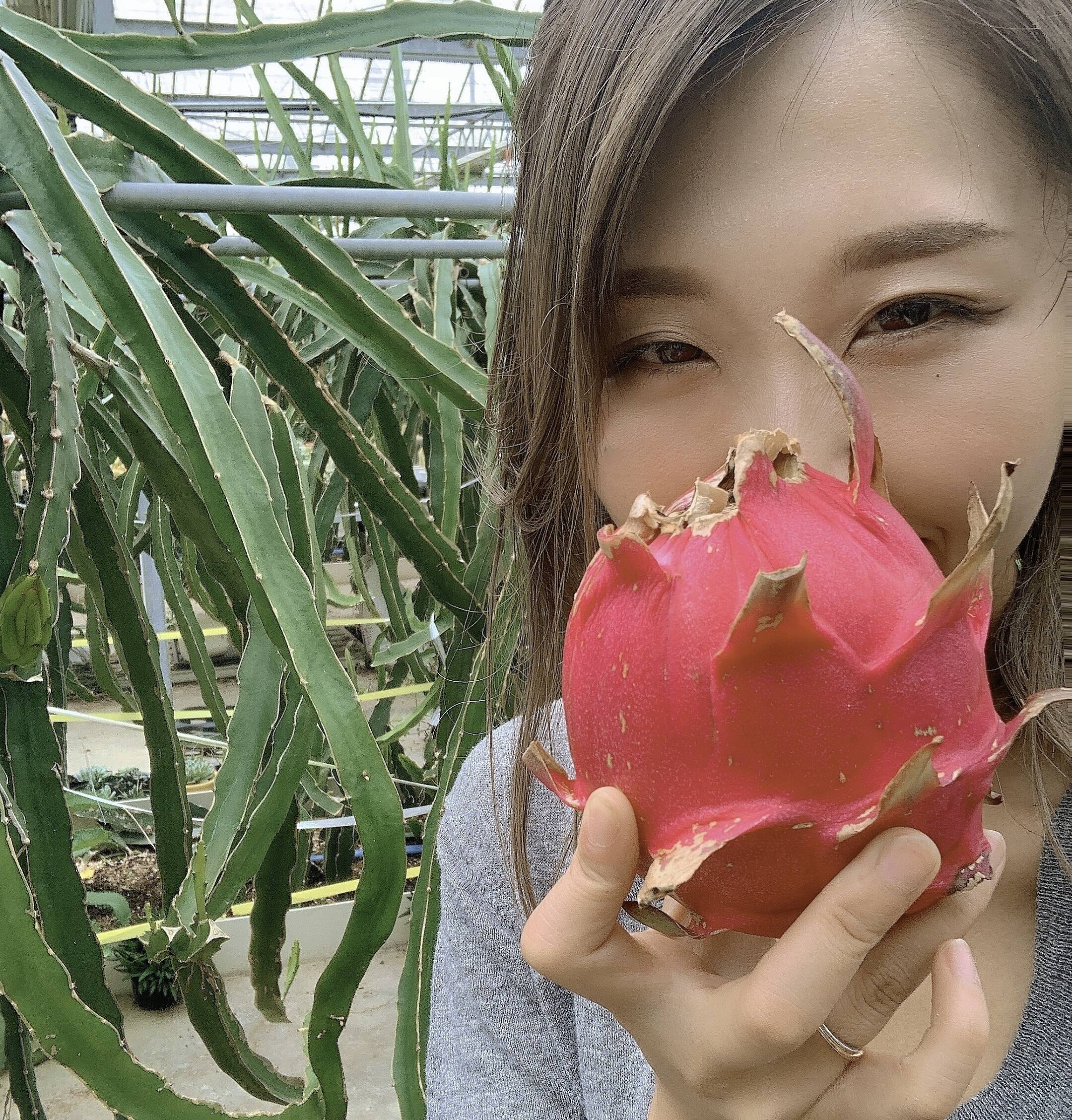 赤・白】食べ比べセット 紅白セット群馬県産ドラゴンフルーツ1キロ