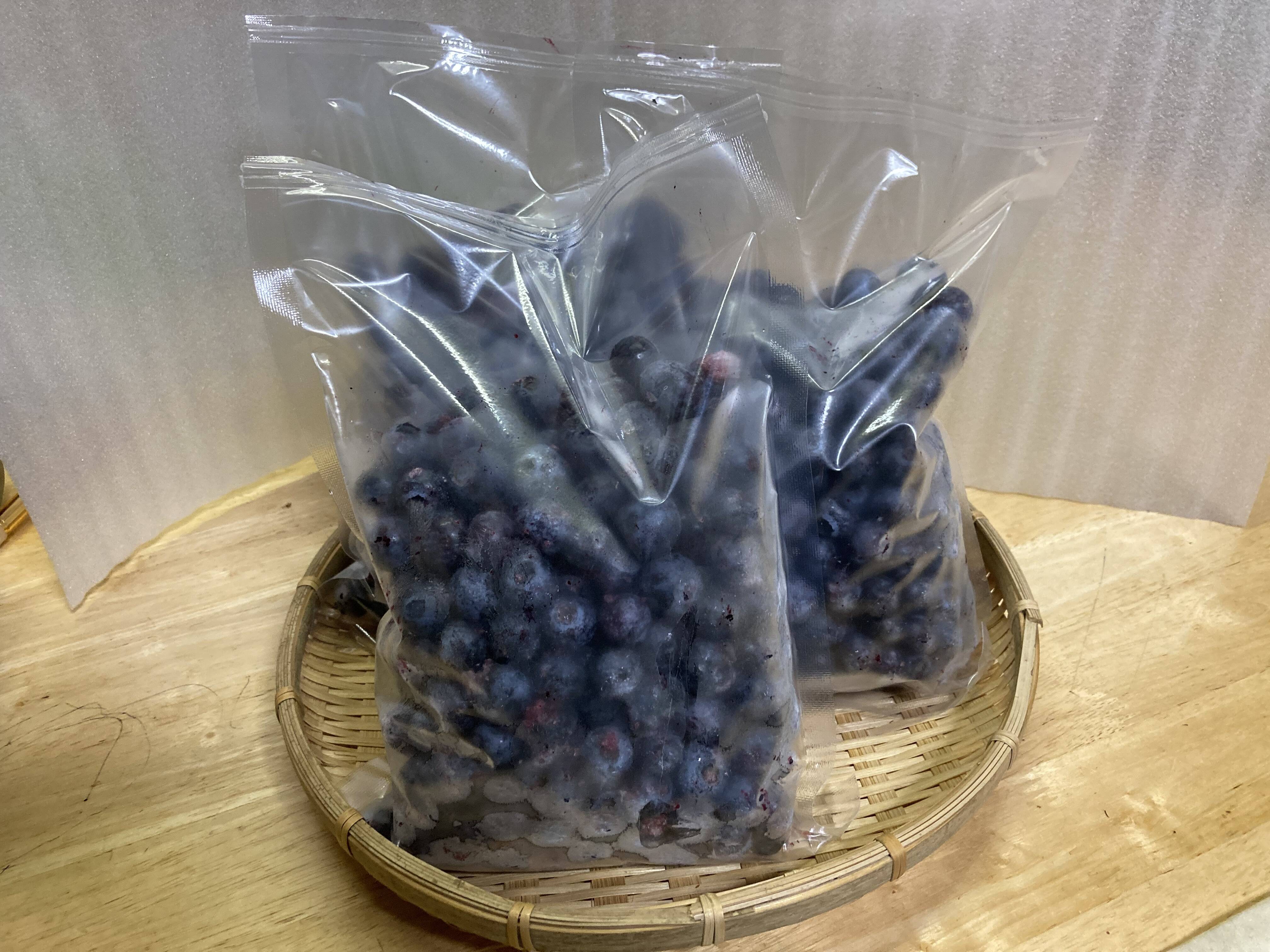 🫐博多湾の離島で育っています🫐新鮮⭐︎採れたて冷凍ブルーベリー
