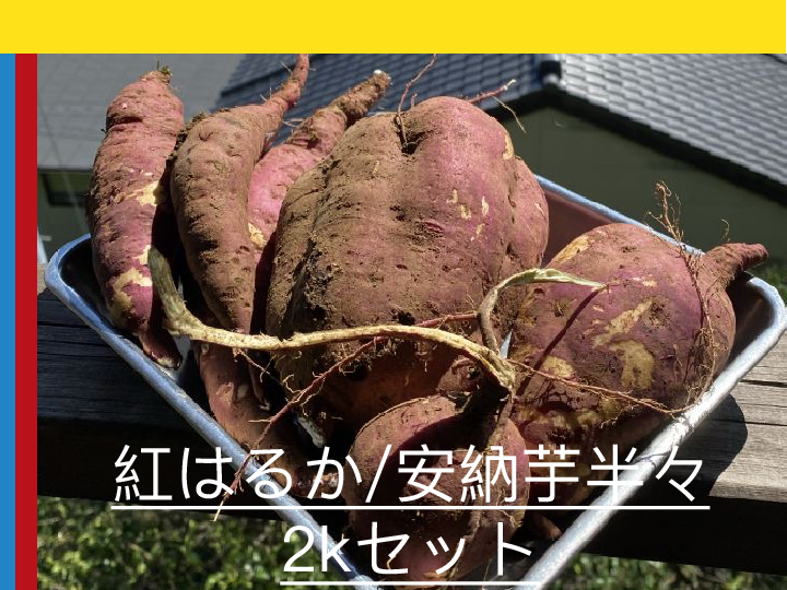 さつまいも/食べ比べ[紅はるか][安納芋] 農薬化学肥料不使用/ナチュラル：佐賀県産のさつまいも｜食べチョク｜産地直送(産直)お取り寄せ通販 -  農家・漁師から旬の食材を直送