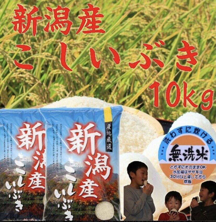 白米10キロ玄米10キロ　新潟県産こしいぶき　特別栽培米　7年産　低温冷蔵 こしいぶき 令和7年 新潟産 白米 10kg 5kg×2袋 農家直送 米10kg 新潟県