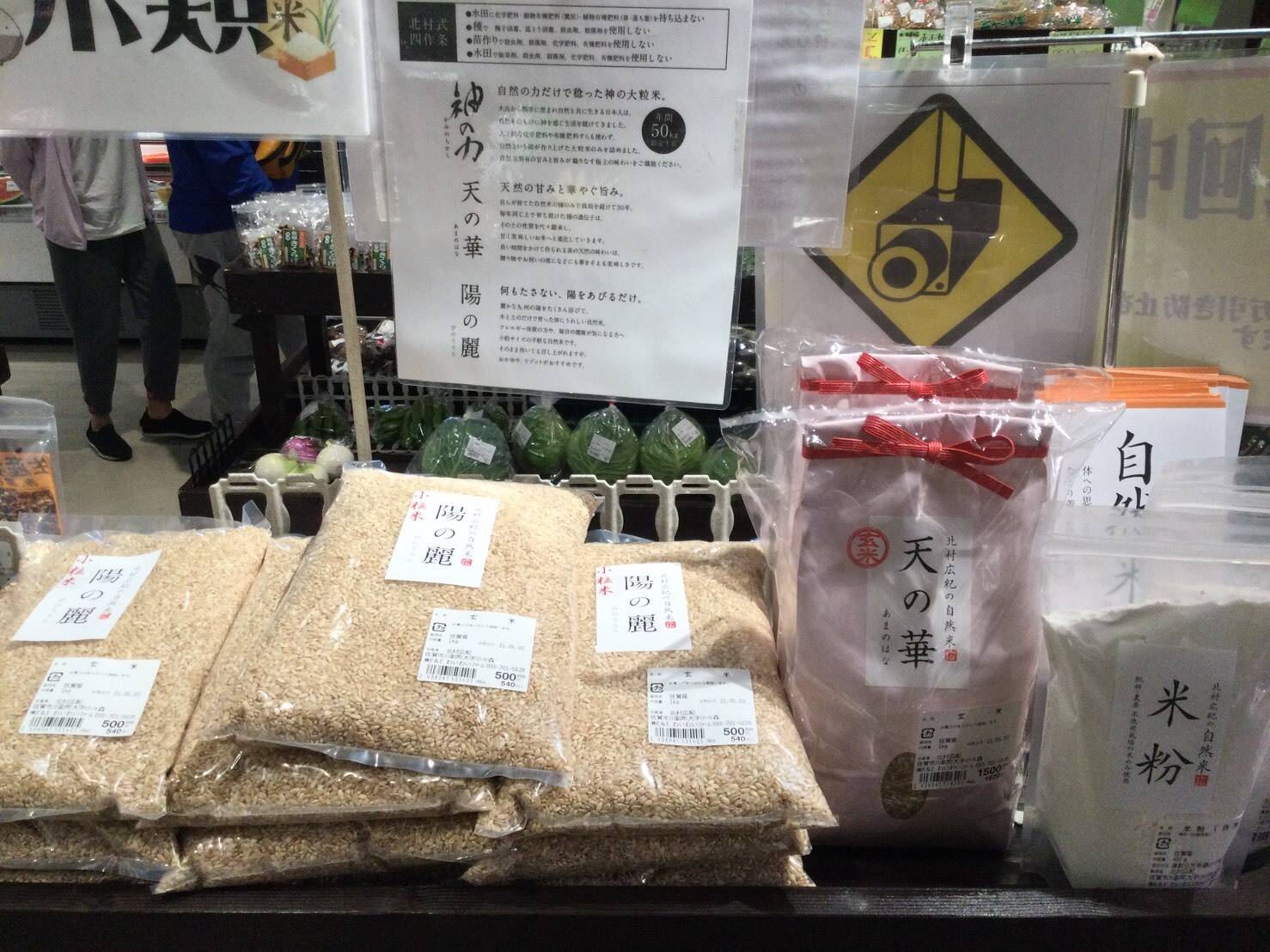 九州産完全無農薬無肥料自然栽培 神の草 日本山人参の種1000粒 その他