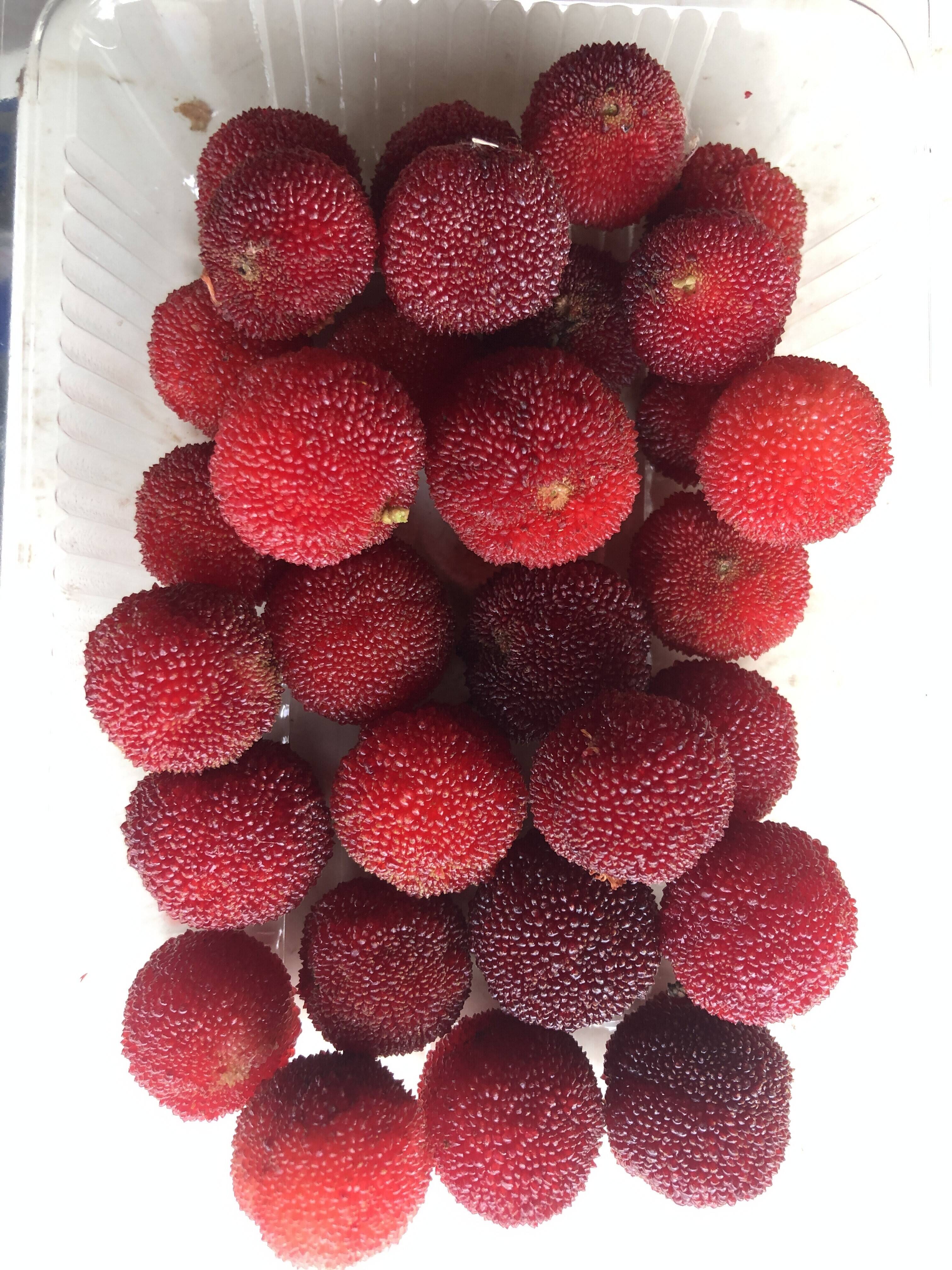 幻の果実、ヤマモモ！1㎏🍒 甘酸っぱい風味とフルーティーな香りが