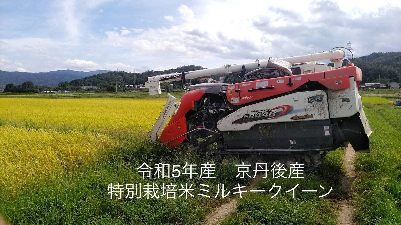 新米】♣️一度食べてみてほしいお米 麻奈為🌾 京丹後峰山産 特別栽培