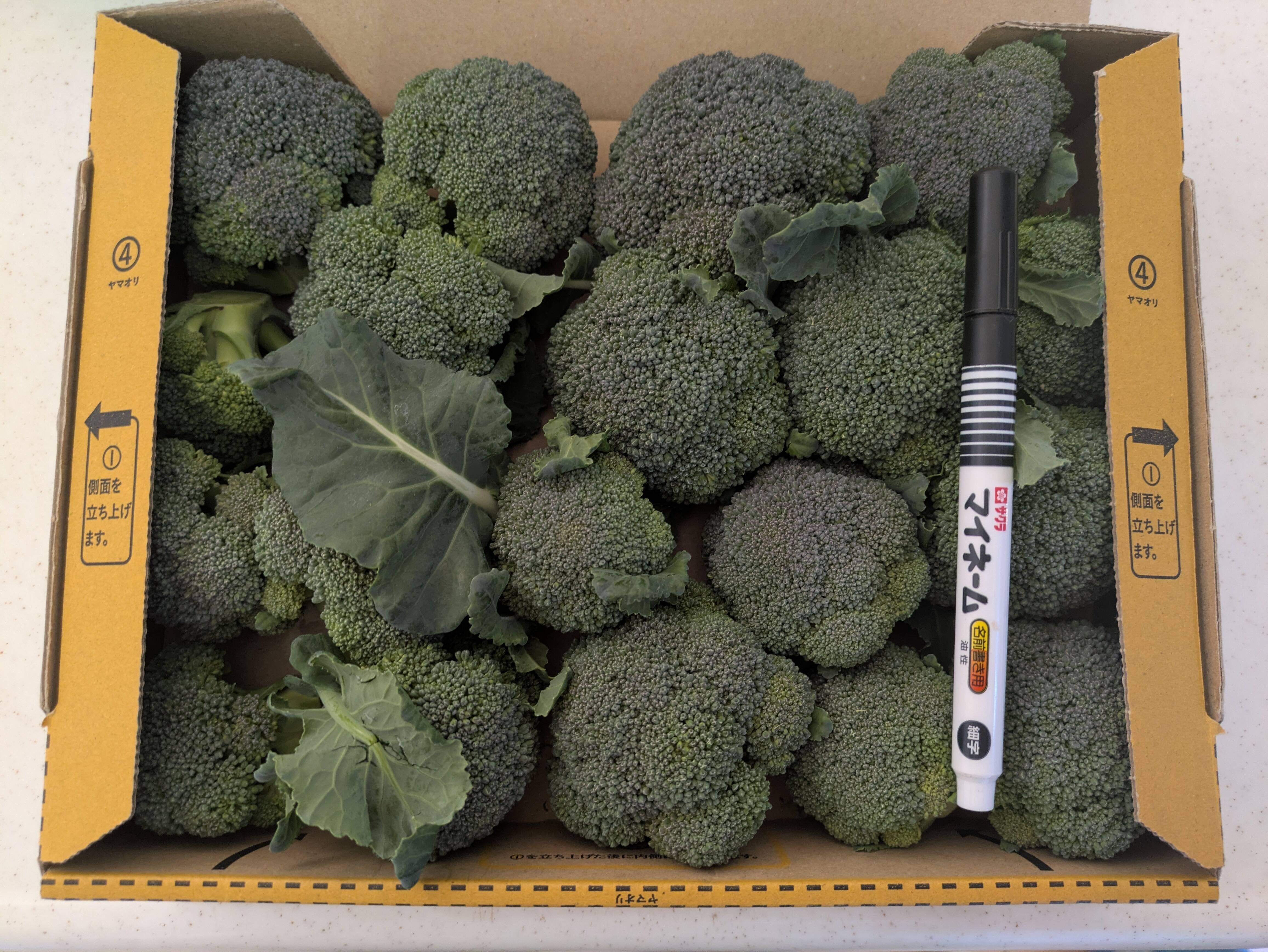 まいちん様 リクエスト 5点 まとめ商品 小ブロッコリー宅急便