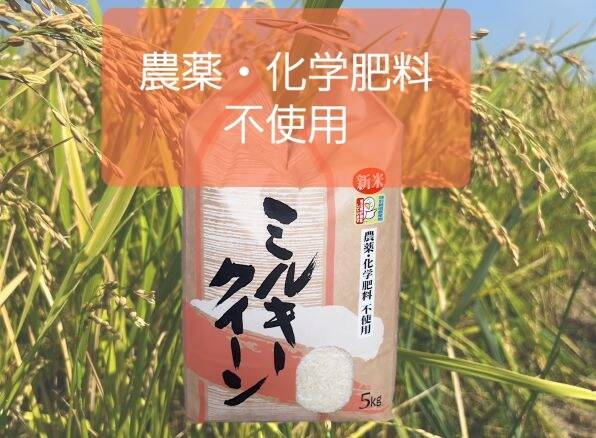 ミルキークイーン精米5㎏ 農薬・化学肥料不使用：埼玉県産のお米｜食べ