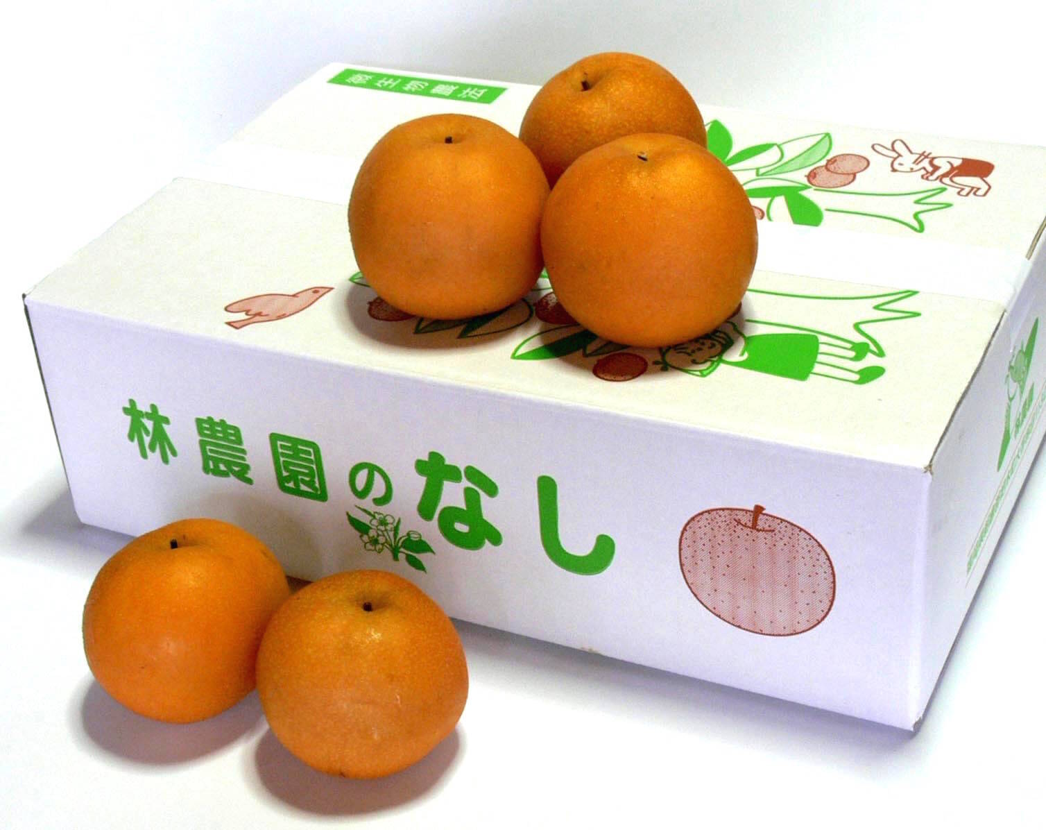 幸水梨（家庭用） 約5kg(18玉) Lｻｲｽﾞ小ぶり：福岡県産の幸水｜食べ