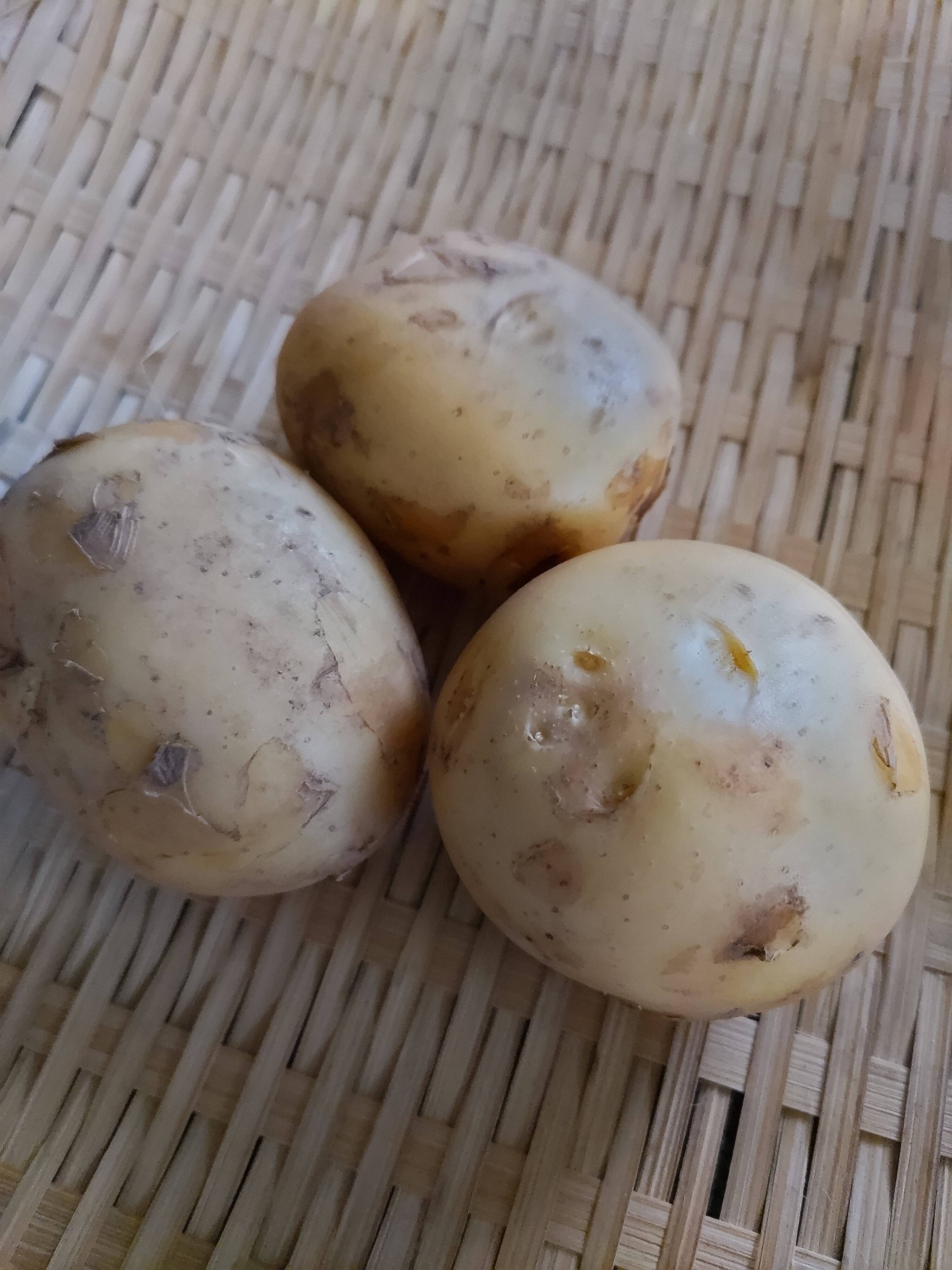 タワラワイス（箱込2kg）：長崎県産のその他じゃがいも｜食べチョク