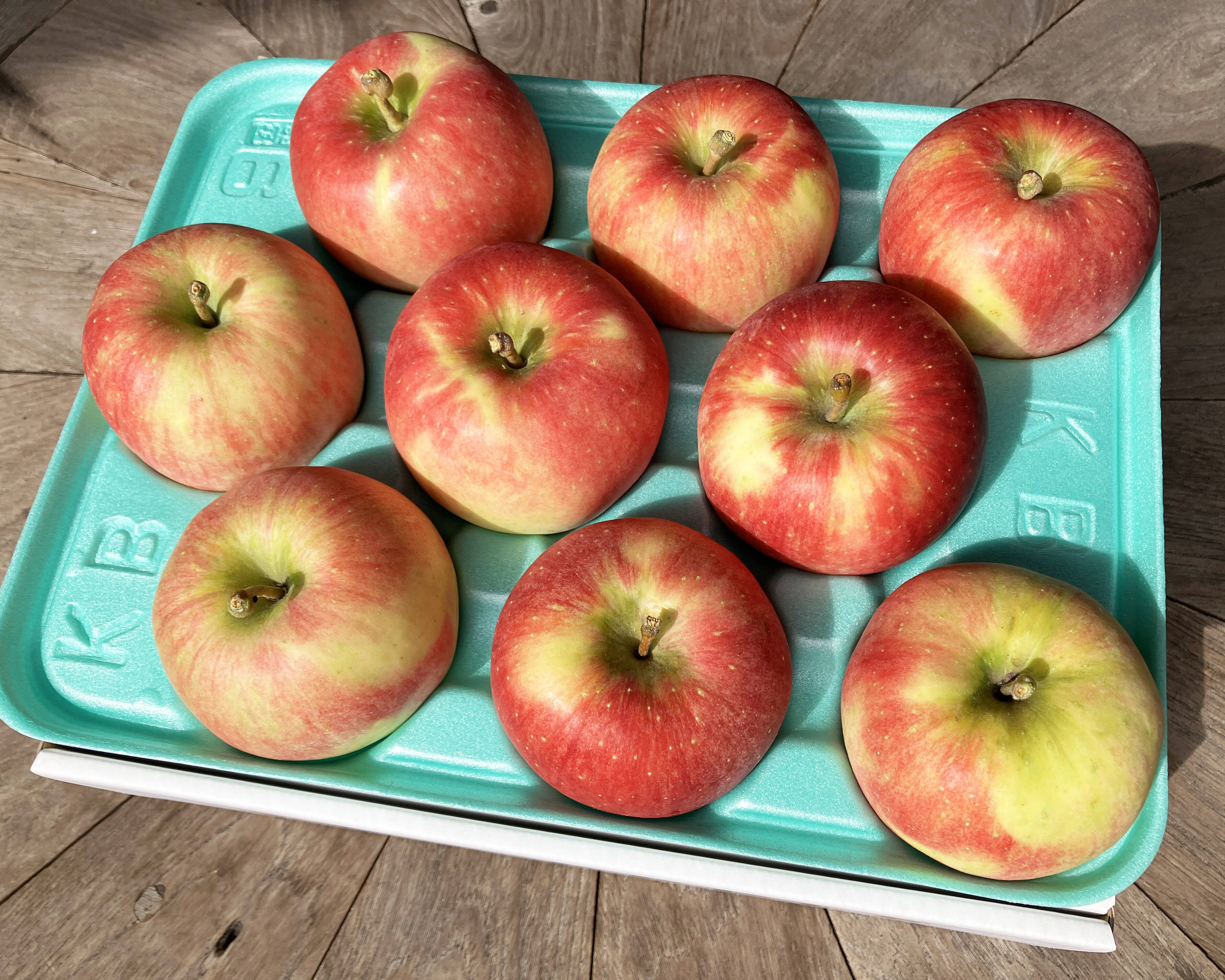 12/6 りんご様 希少な特別栽培りんご🍎千秋（せんしゅう）3kg🍎甘酸っぱくて味が濃い