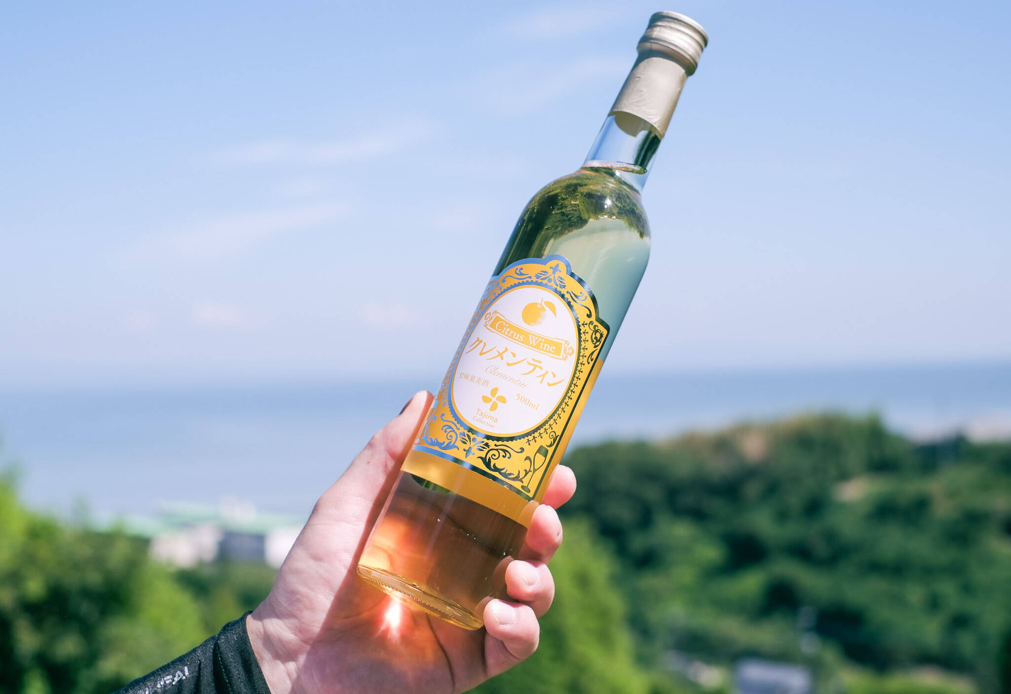 短期熟成の甘口】サングリアにして飲むのがオススメ クレメンティン