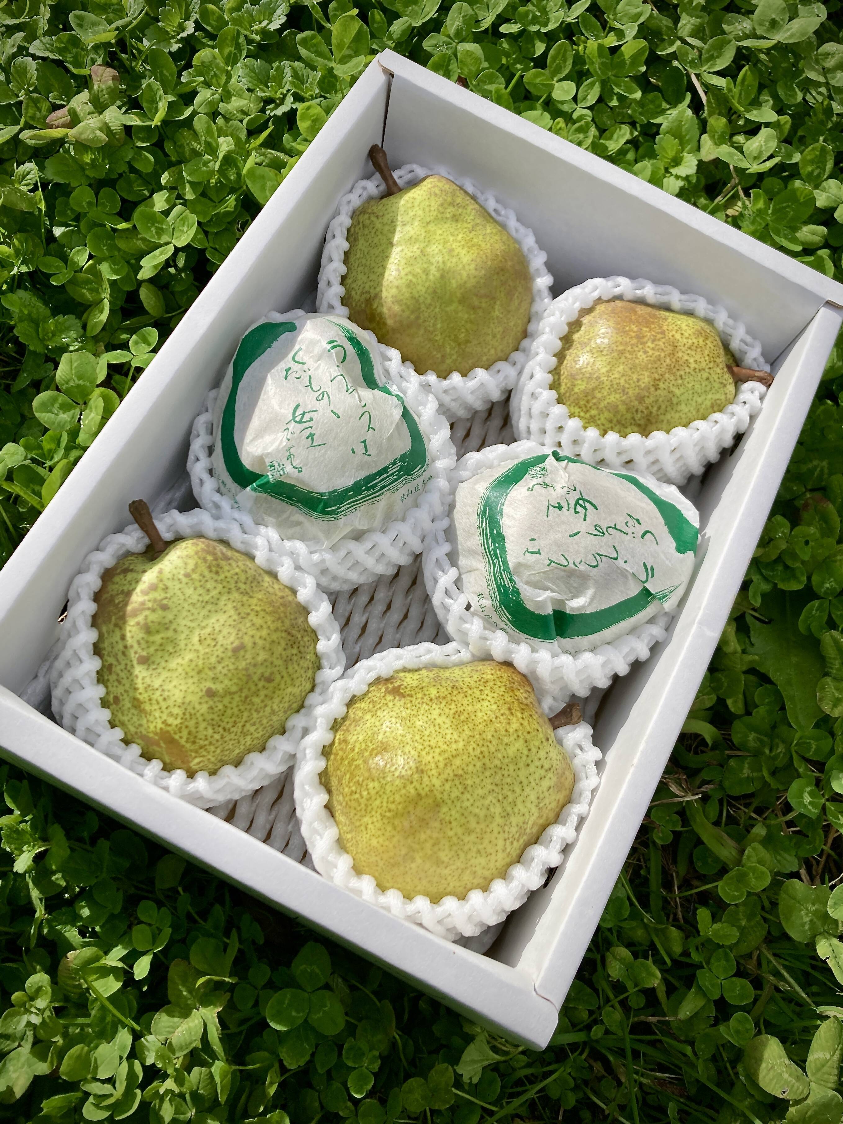 ラフランス専業農家が贈る🍐】大玉ラ・フランス2kg6玉【特秀品