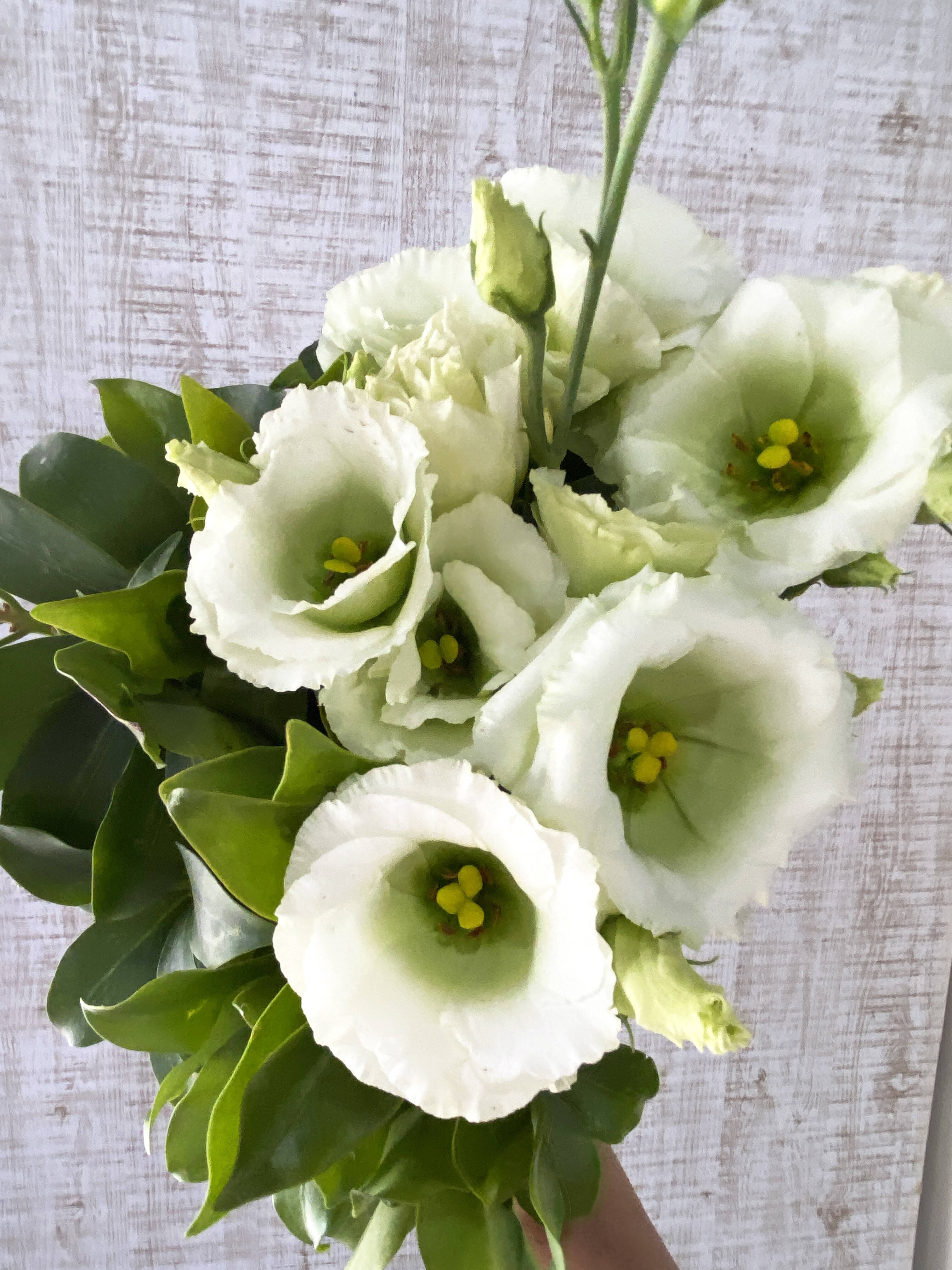 フラワーお花畑99x194 囲みベージュ くすみグリーン トルコ 