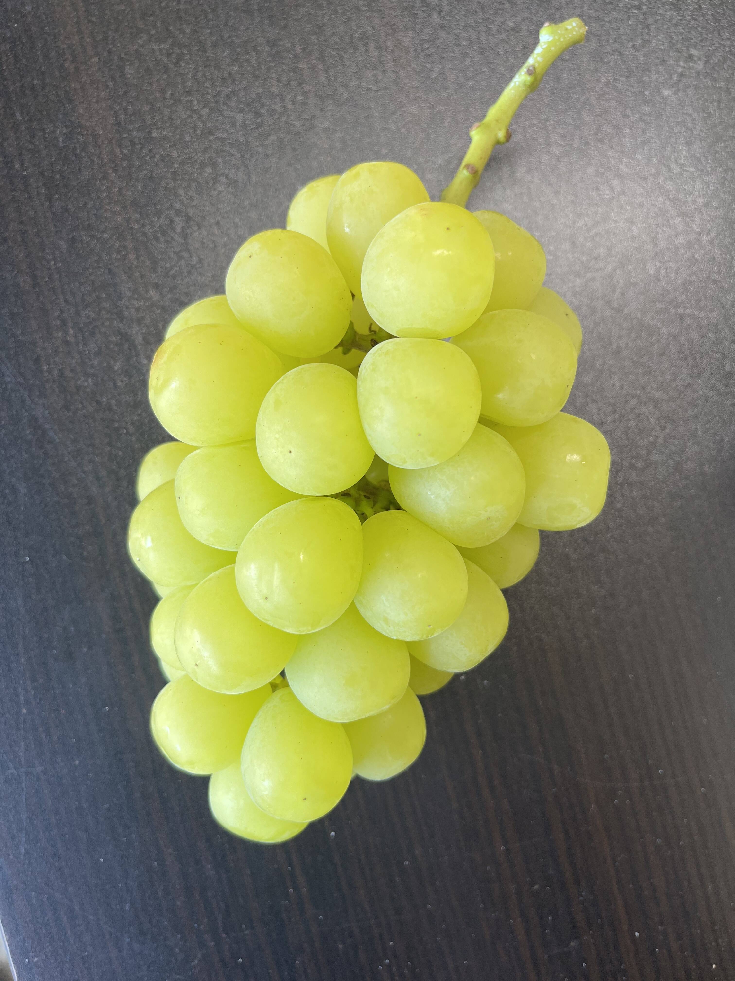 マスカサーティーンシャインマスカットよりさっぱり美味しい！お試し