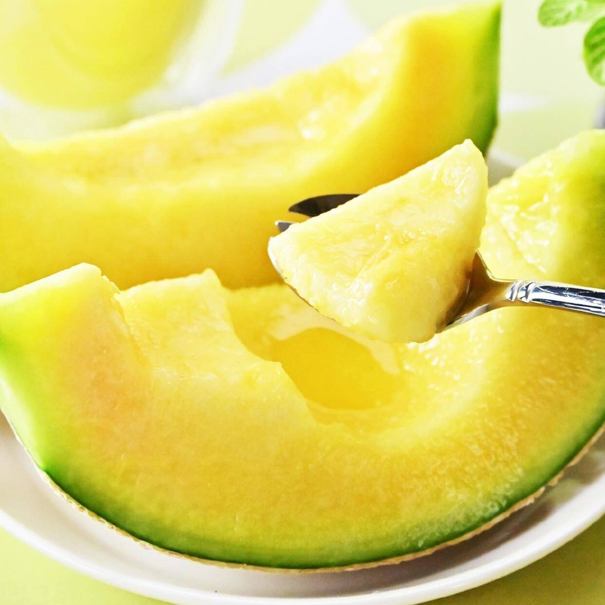 冬ギフト】【贈答用】マスクメロン1玉箱入り「熨斗対応可」：高知県産