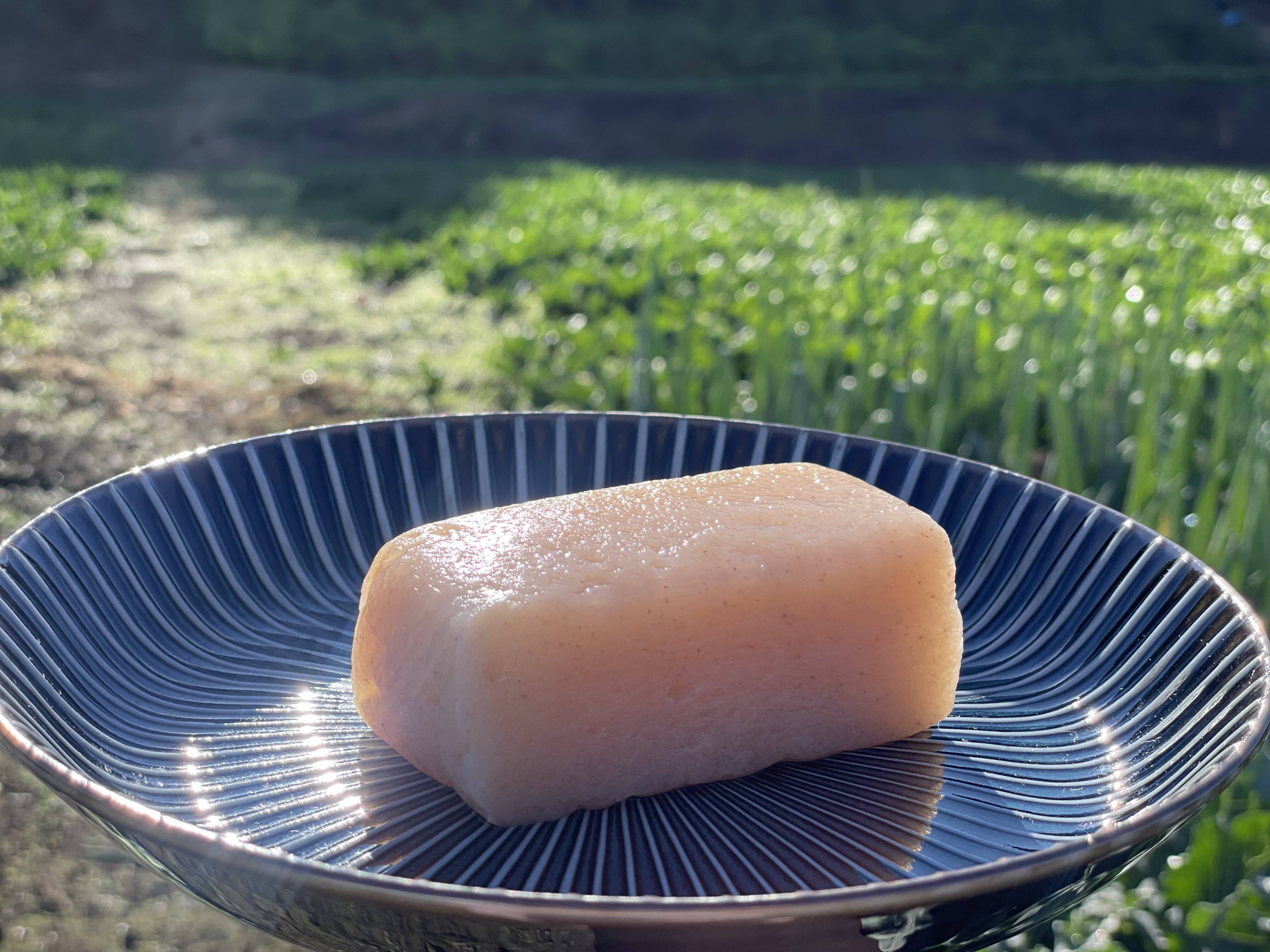 生芋こんにゃく200g×8個【テレビ東京昼メシ旅で紹介、NHKうまいっ 