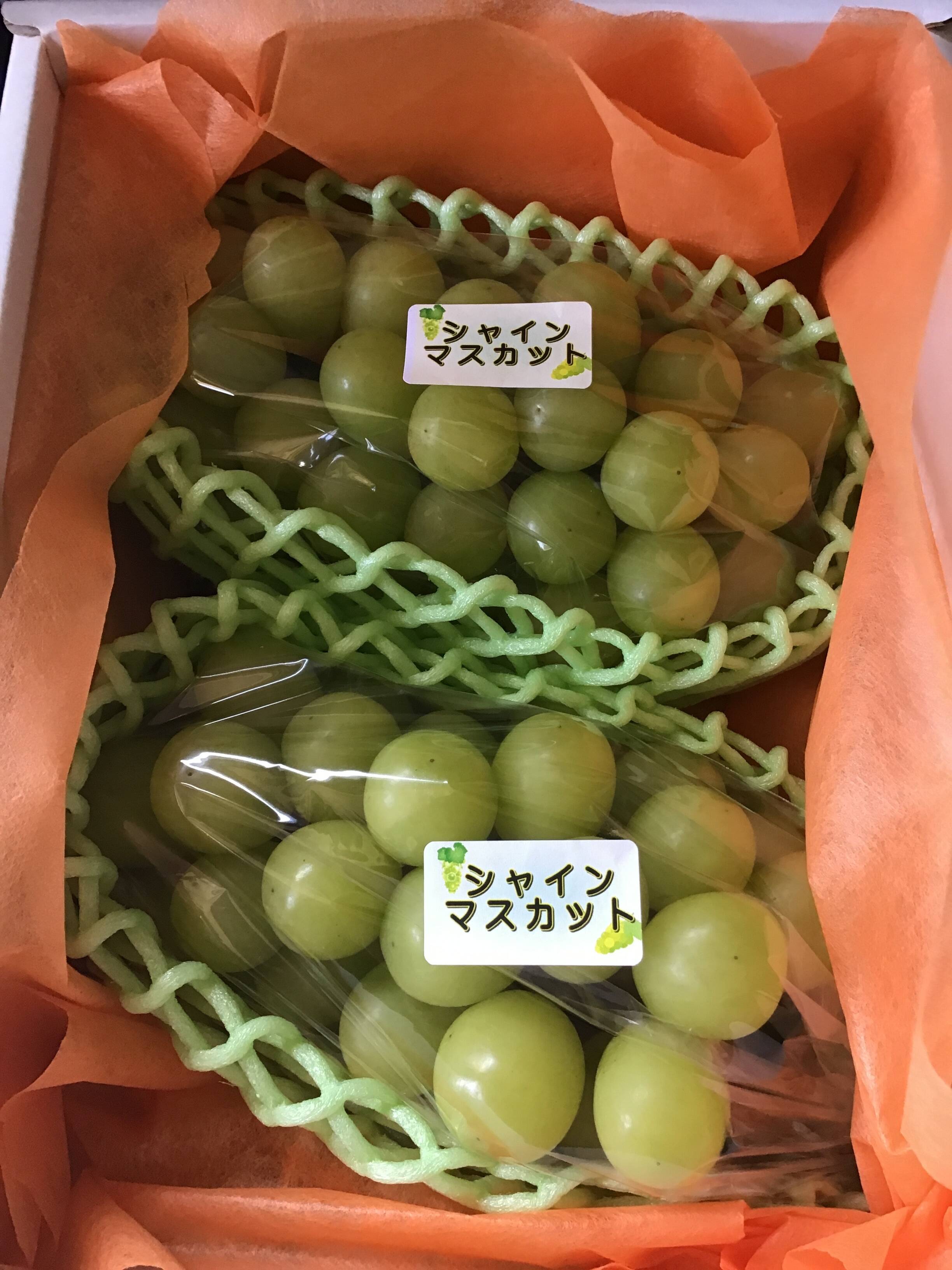 いっくんママ様専用‼️シャインマスカット2房✖️2箱：熊本県産の